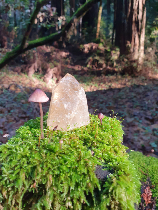 Healing with Crystals