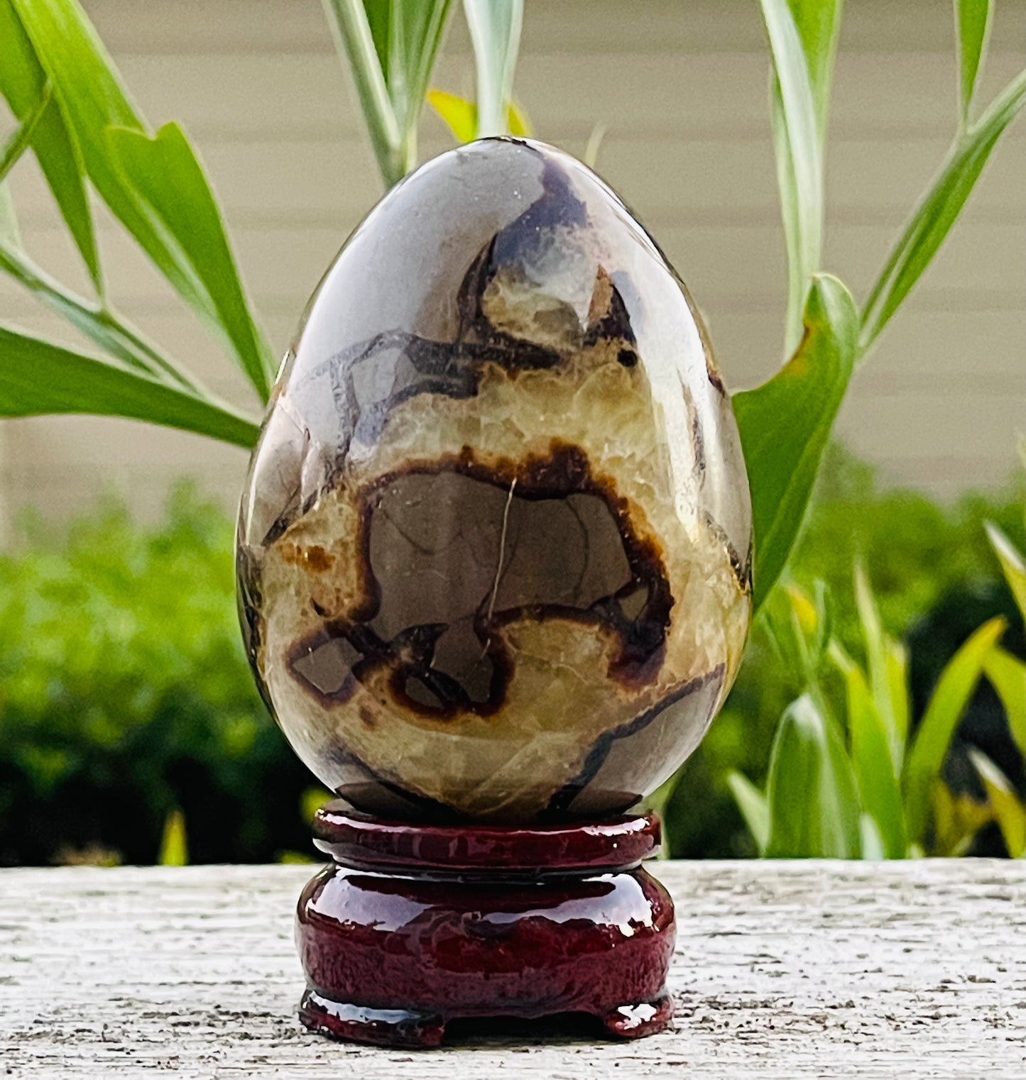 Septarian Dragon Egg