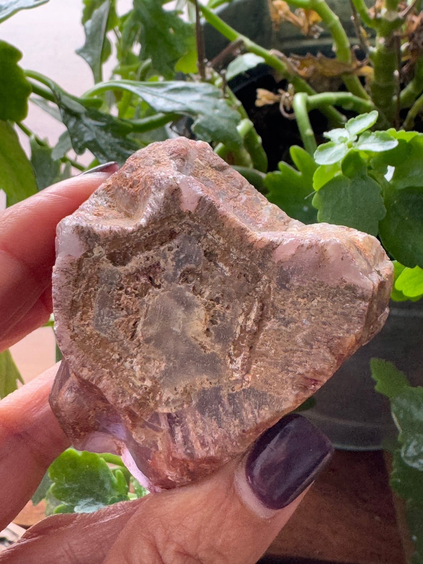 🔮 Amethyst Trapeze
