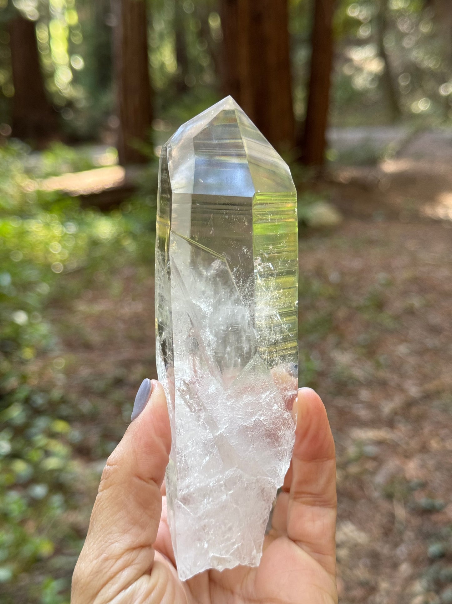 Natural Lamurian Point AAA