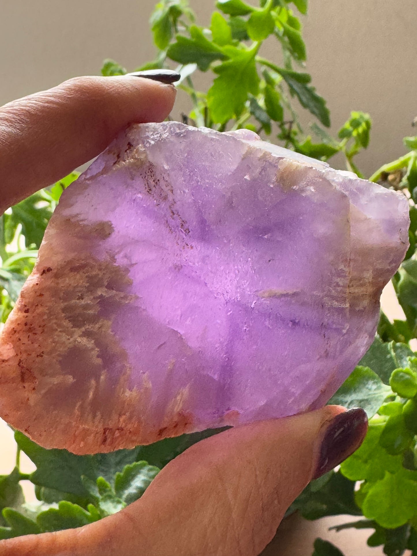 Amethyst Trapeze