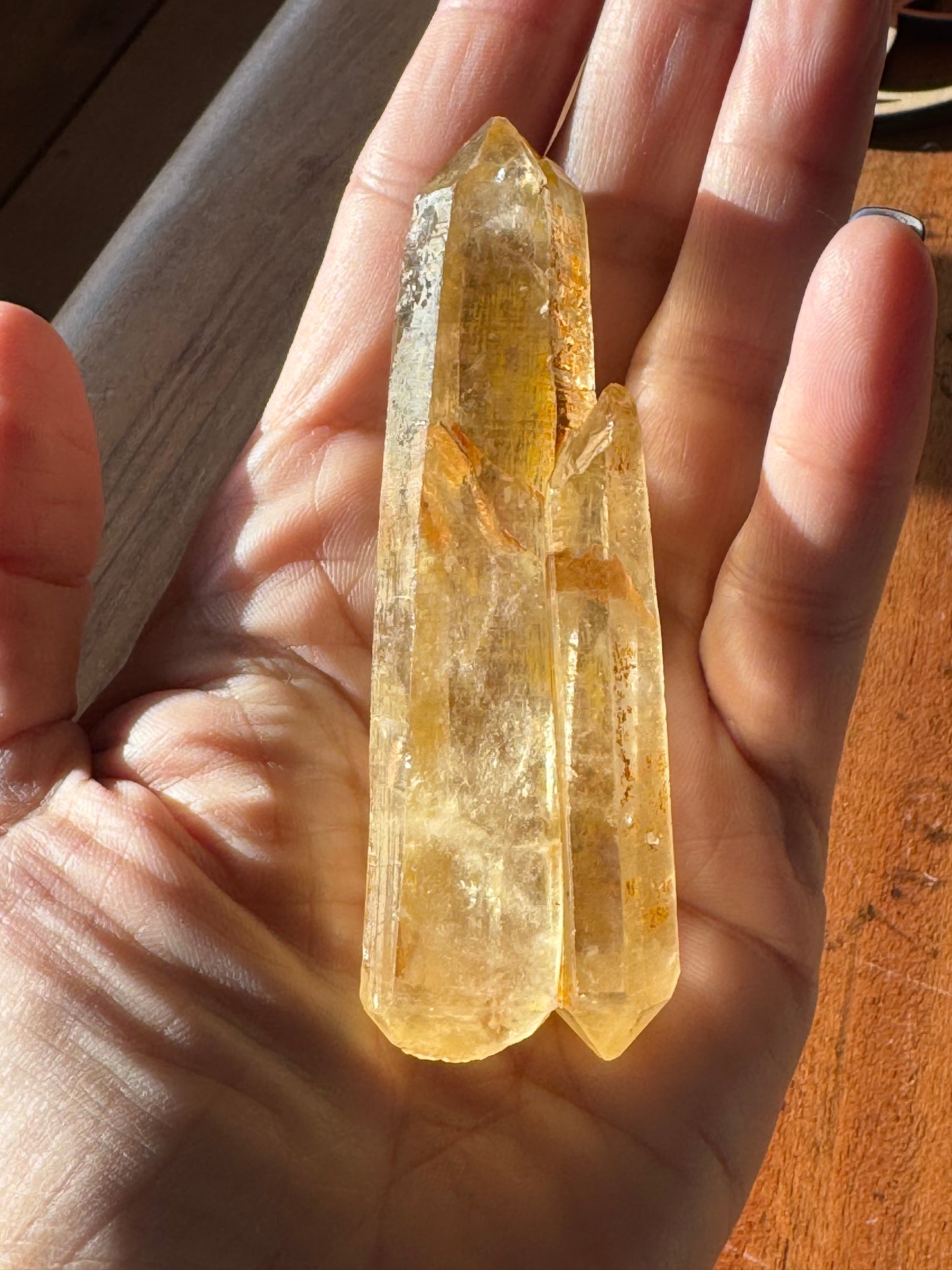 Golden Double Terminated Lemurian Quartz
Raw. Natural. One of a kind.