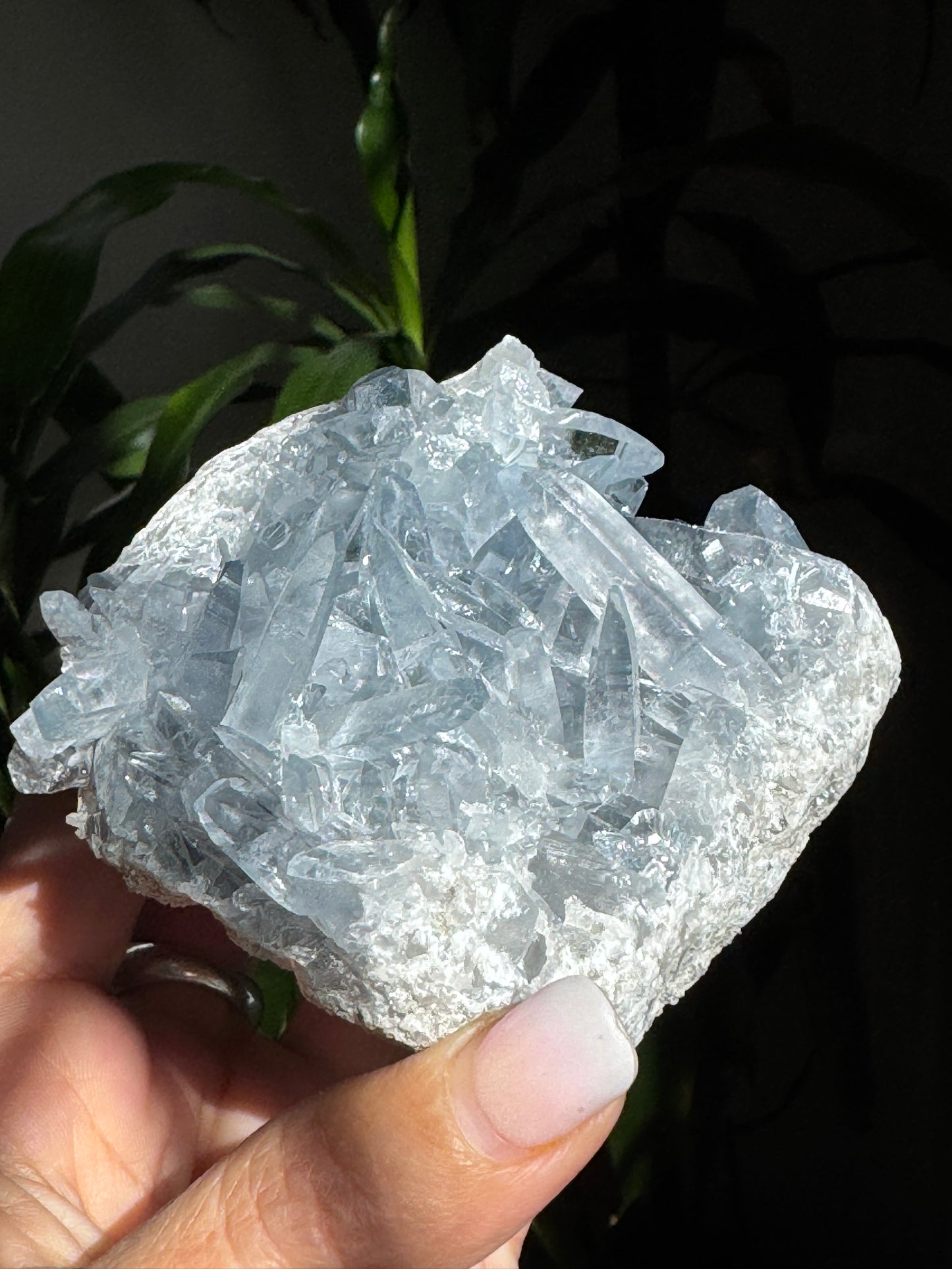High-Grade Celestite Cluster – Angelic Sky Blue