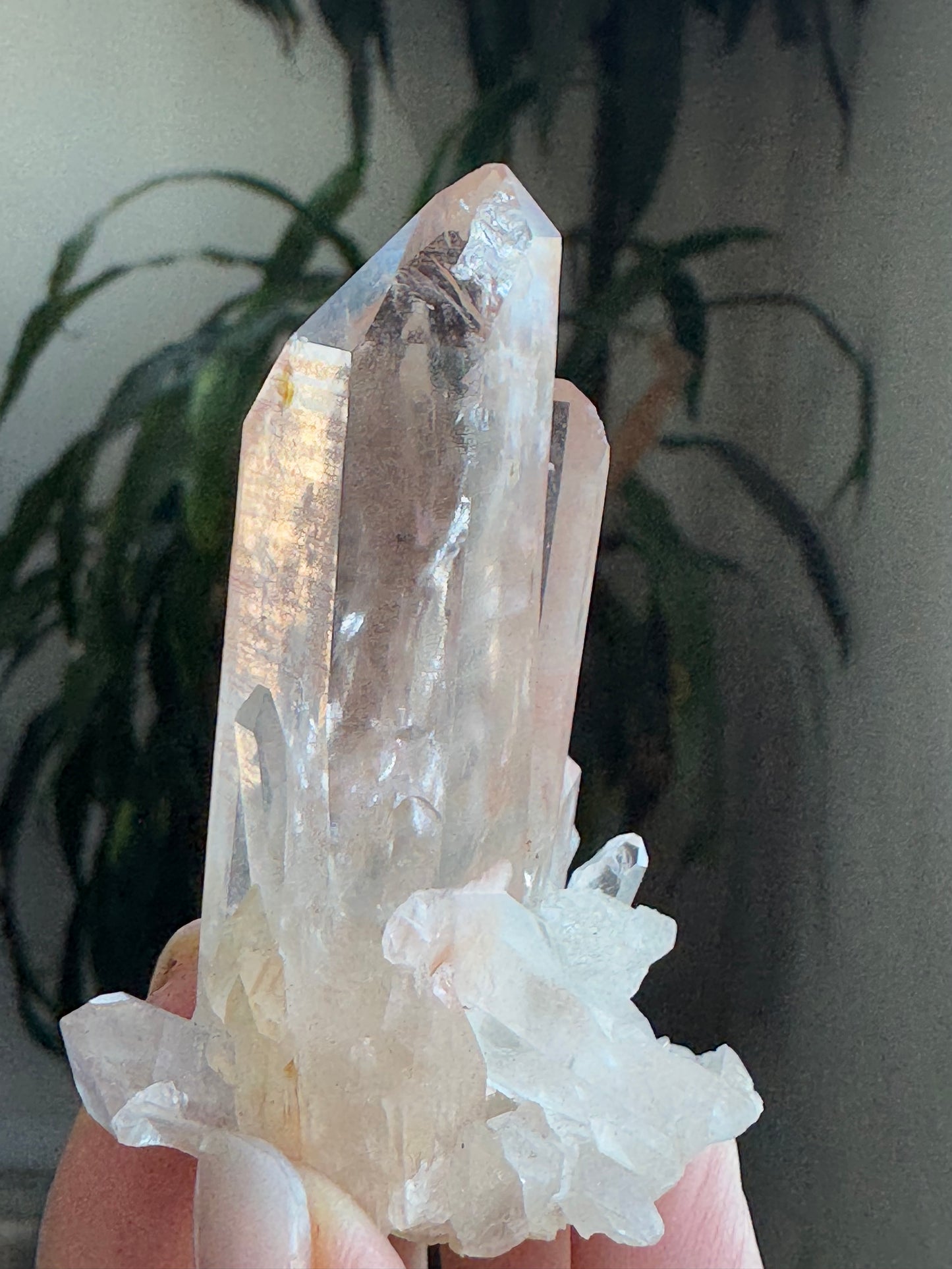 AAA Quality Pink Lamurian Cluster – Small