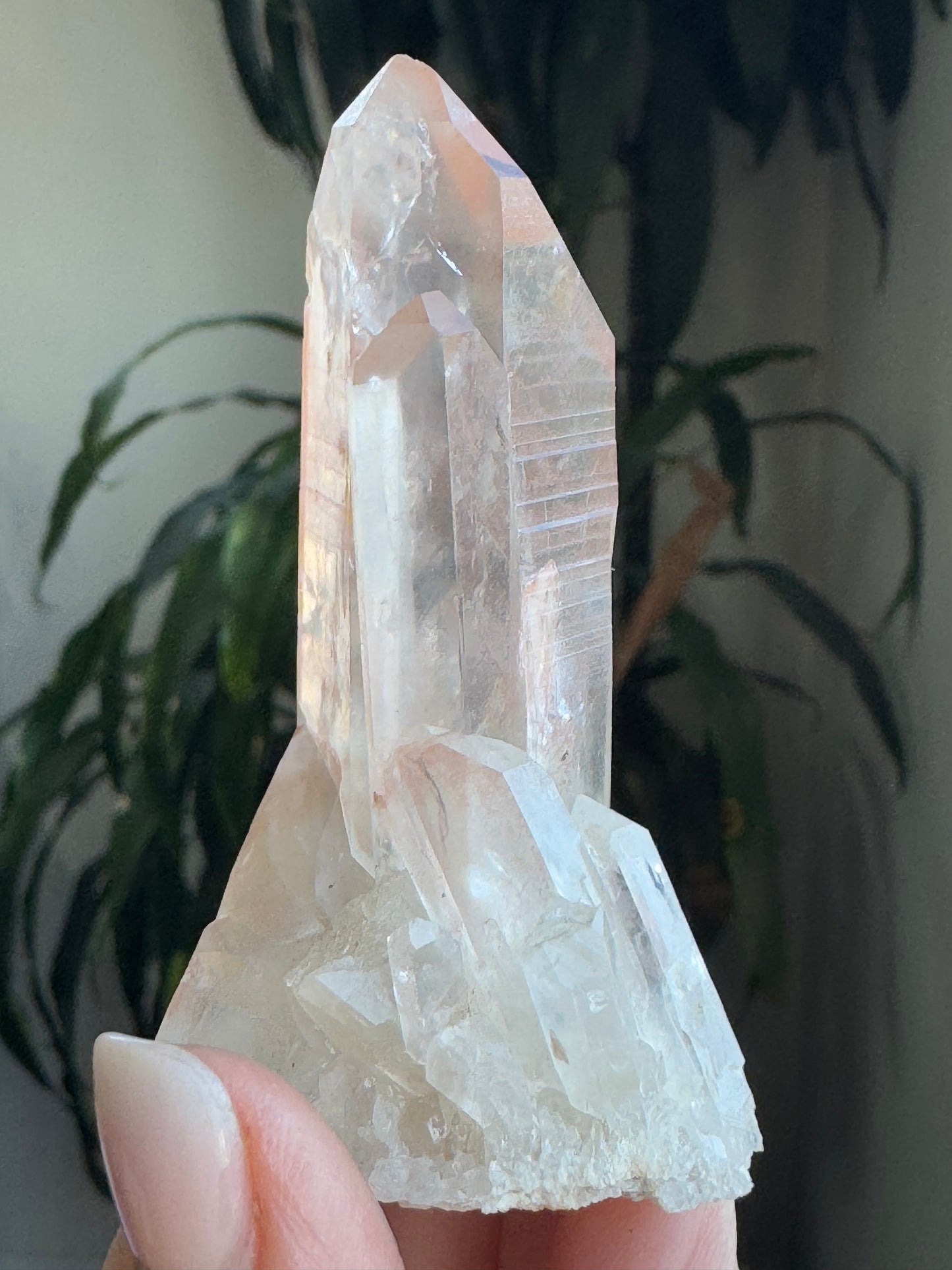 AAA Quality Pink Lamurian Cluster – Small