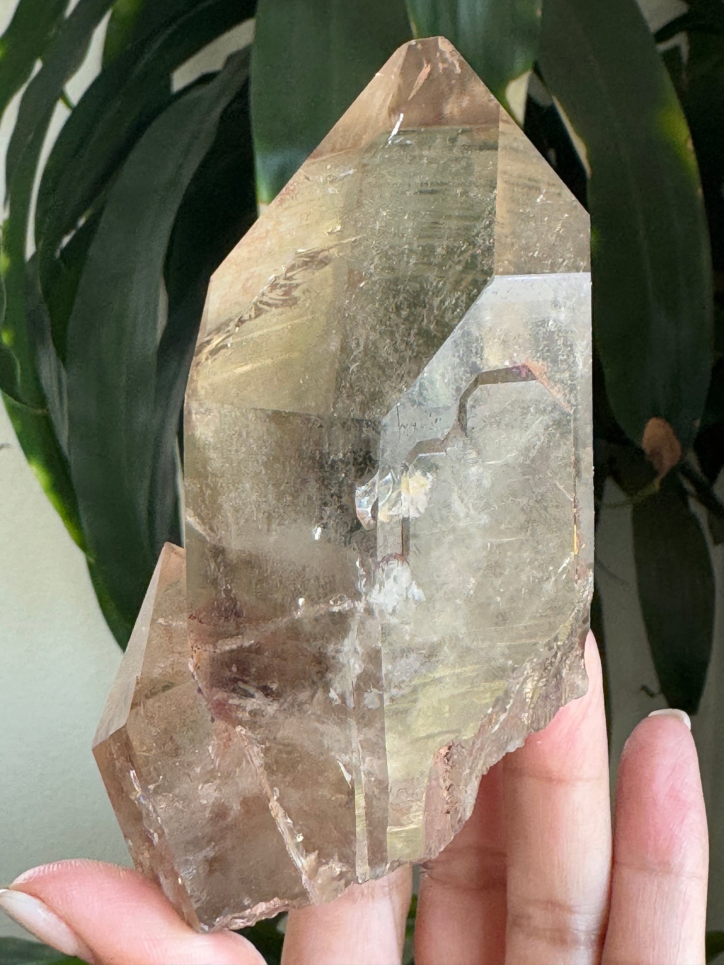 Lemurian Quartz – Raw Natural Cluster