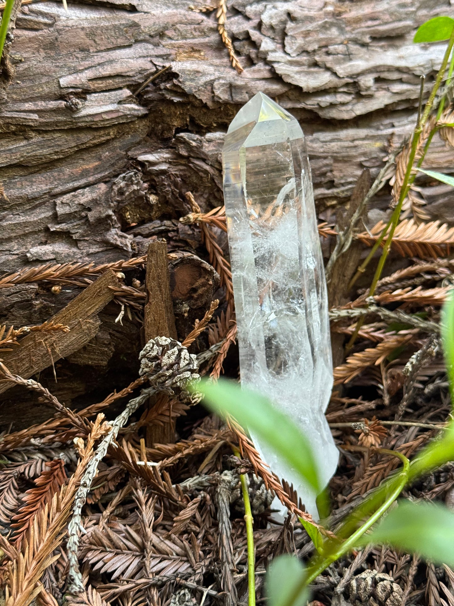 AAA Lamurian Quartz