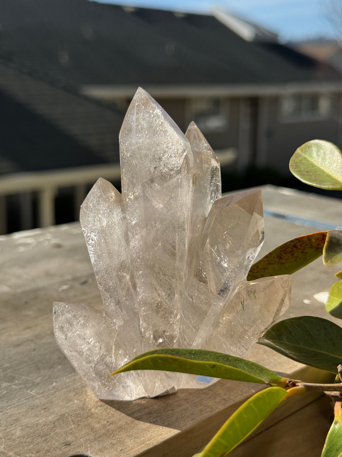 Smokey Quartz Flame Carving – Grounded Light
Rooted. Protective. Stabilizing.