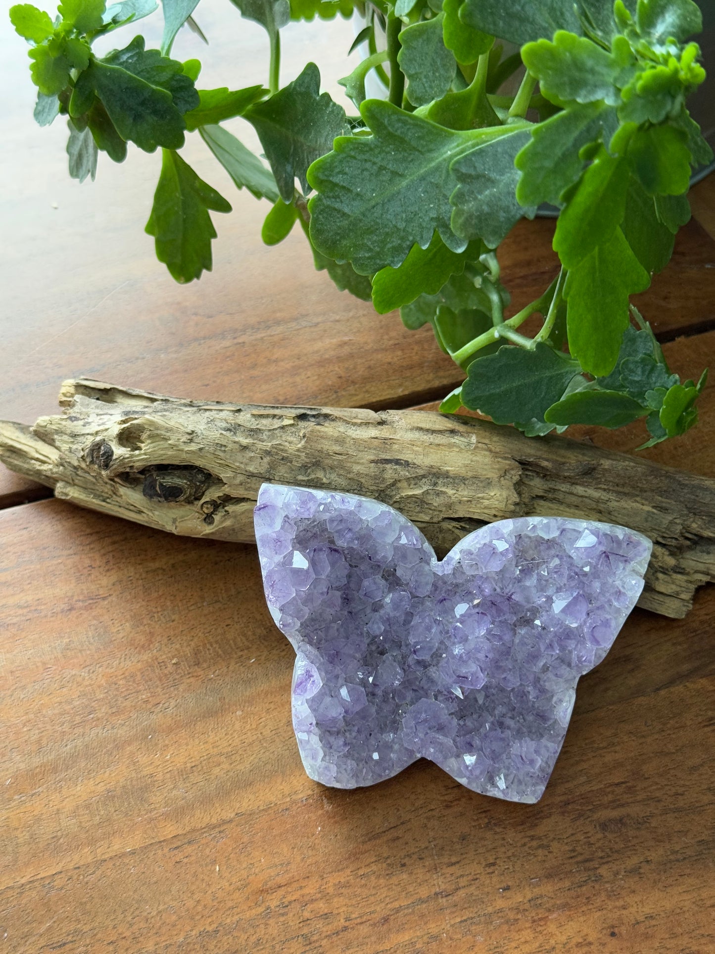 🦋 Amethyst Butterfly