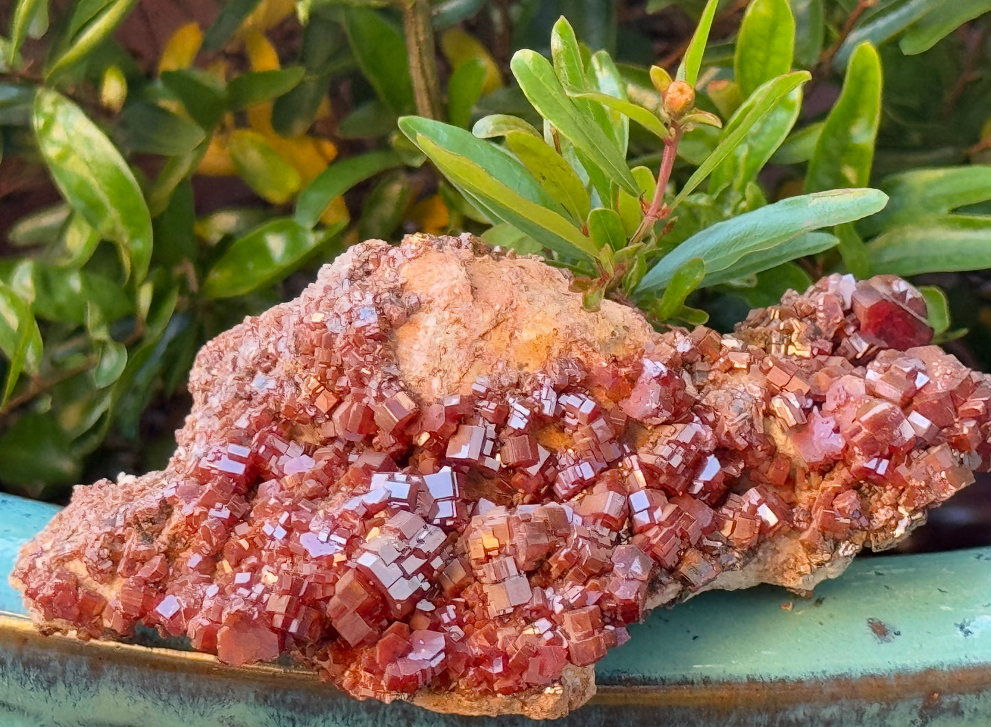 Vanadinite Cluster – Fire of Manifestation