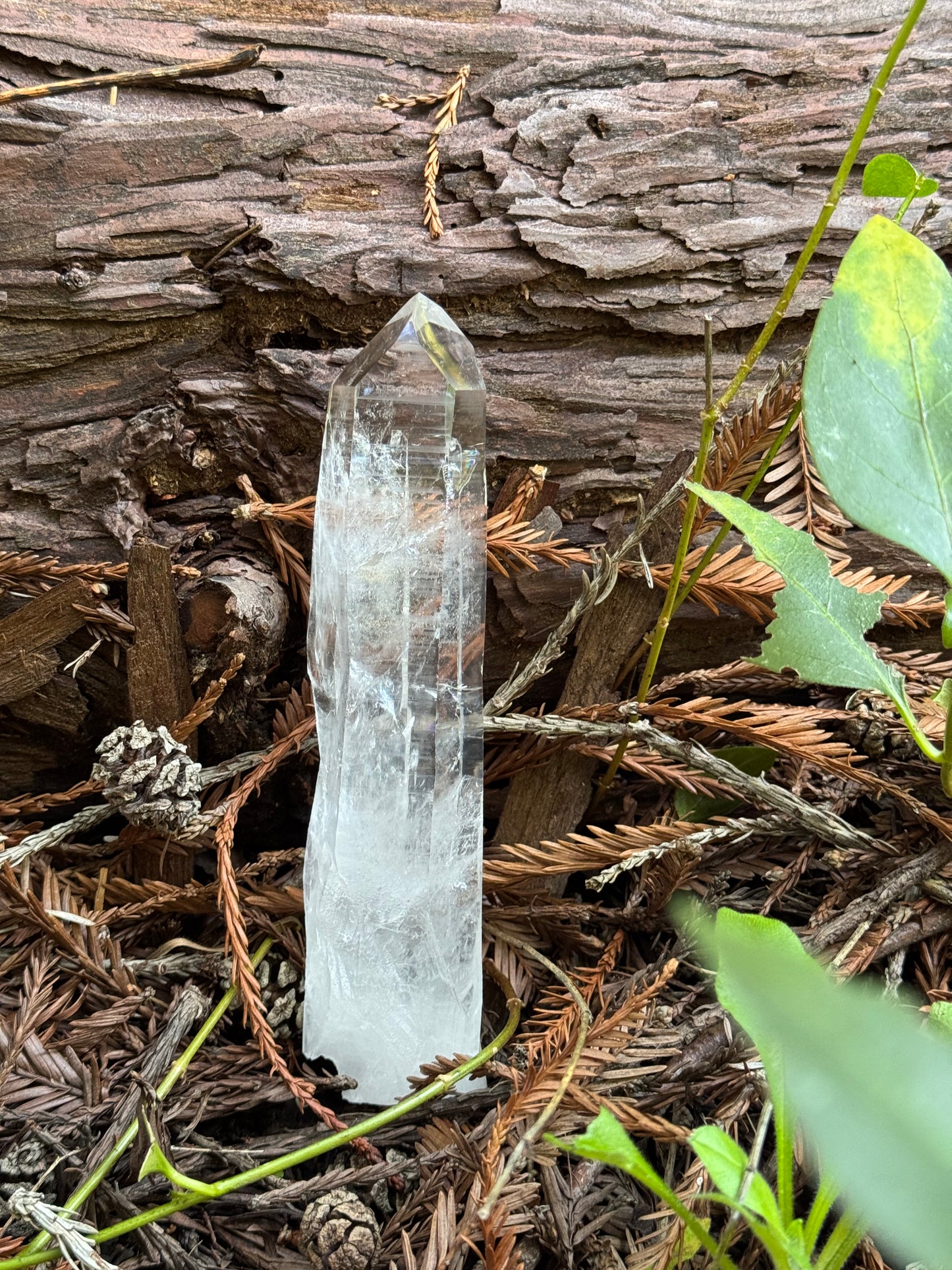 AAA Lamurian Quartz