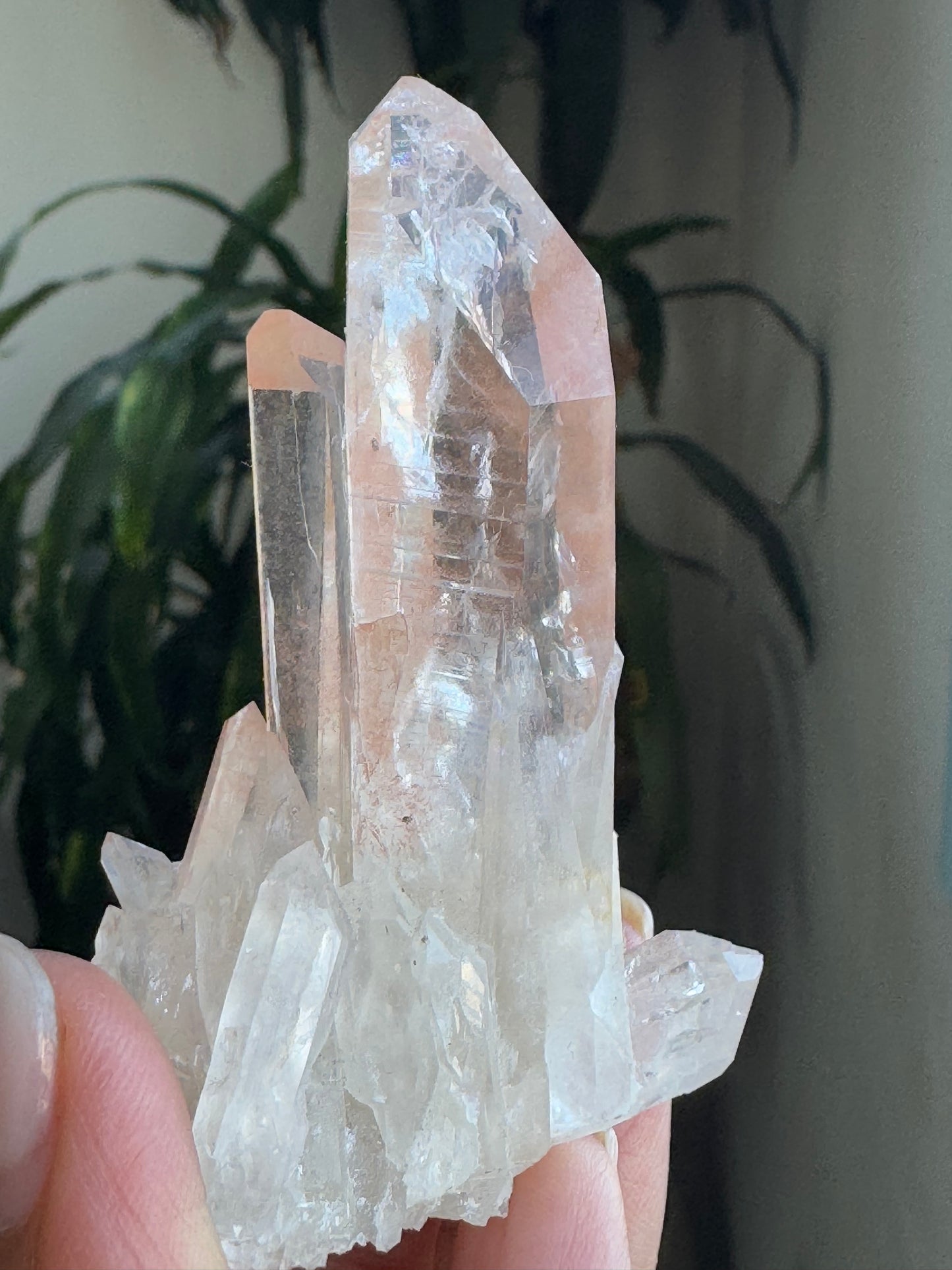 AAA Quality Pink Lamurian Cluster – Small