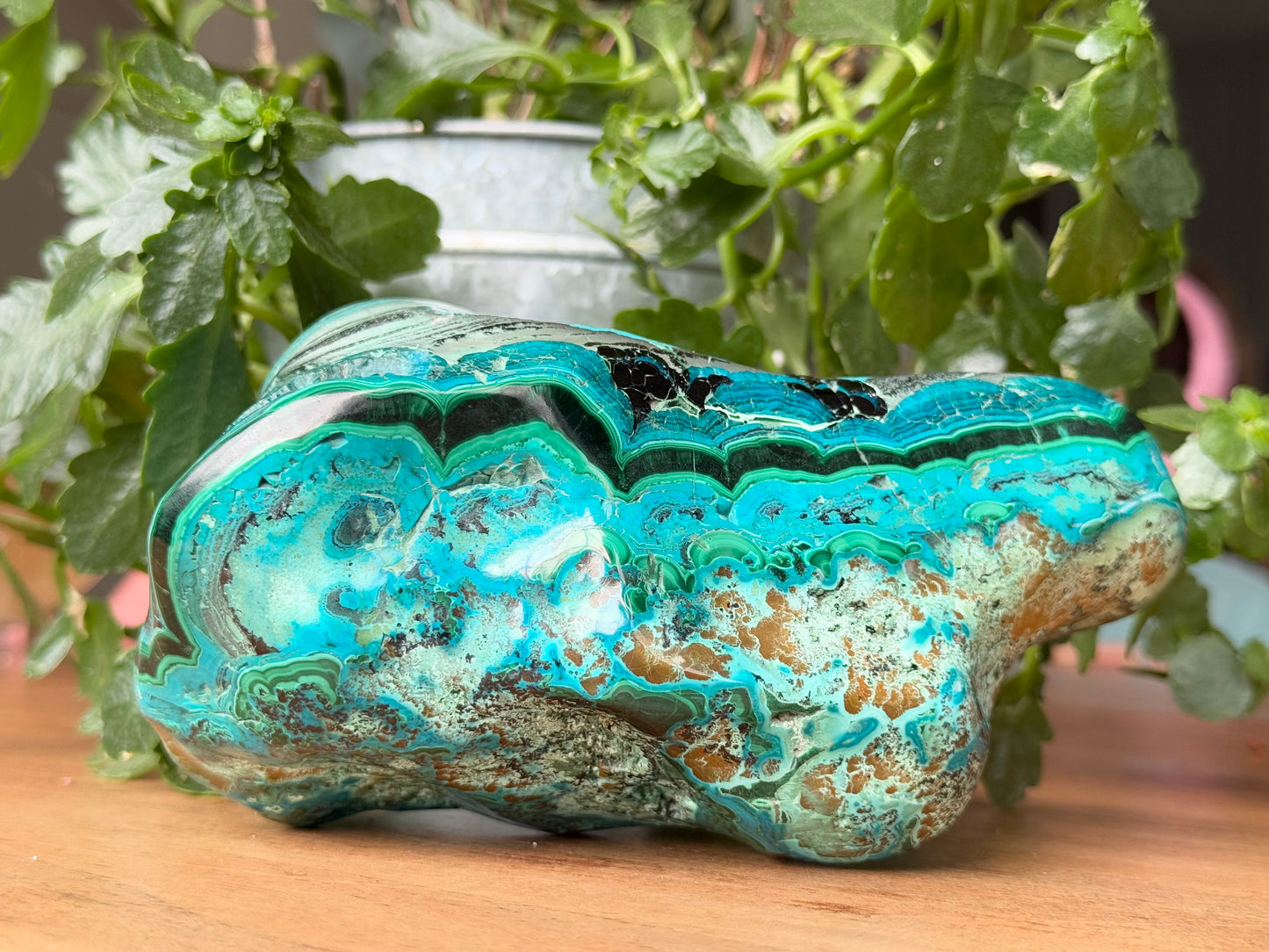 Chrysocolla–Malachite Freeform | 1.718 kg