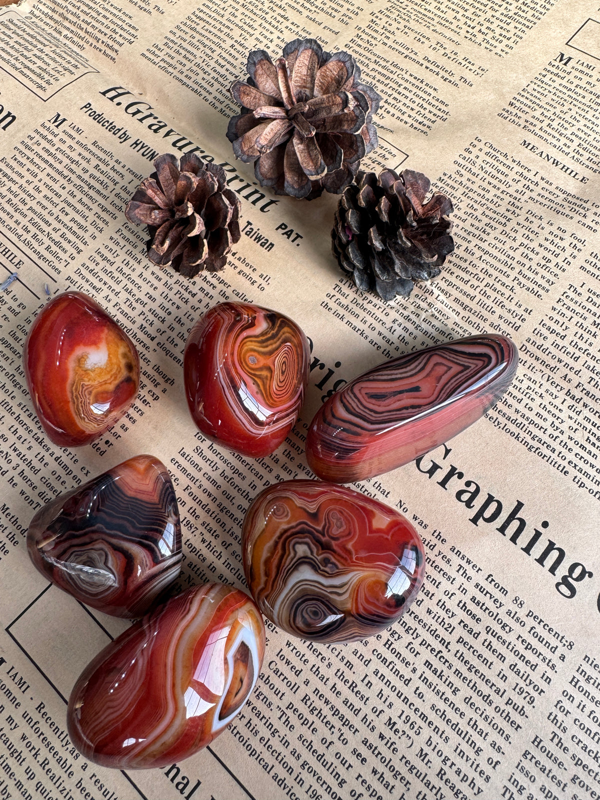 Natural Mexican Agate Freeforms 🇲🇽