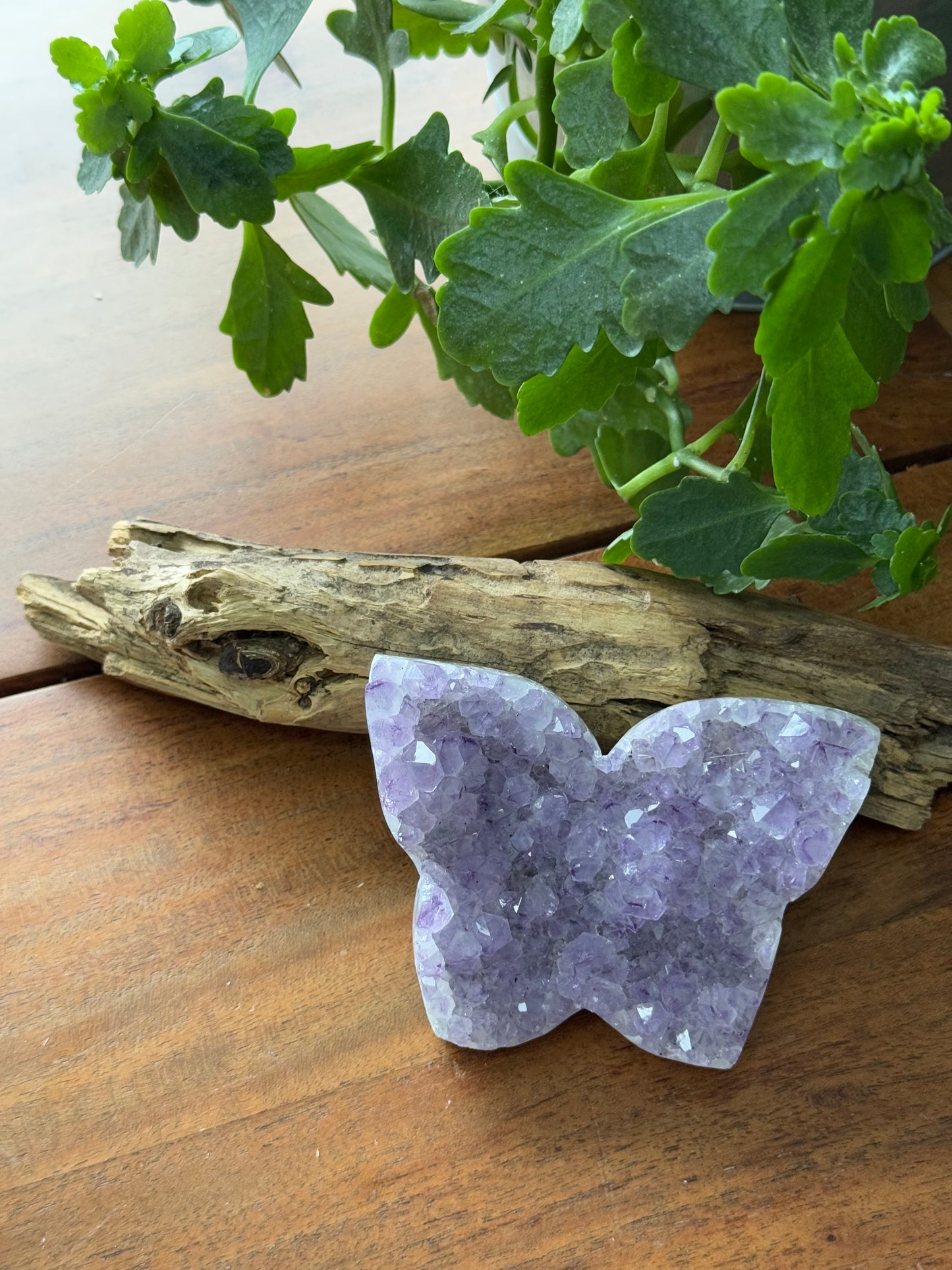 🦋 Amethyst Butterfly