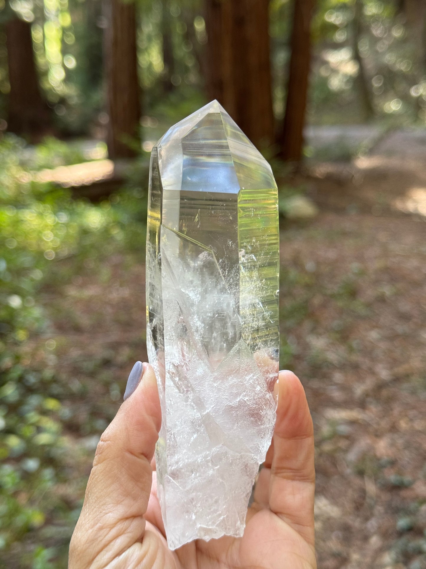 Natural Lamurian Point AAA