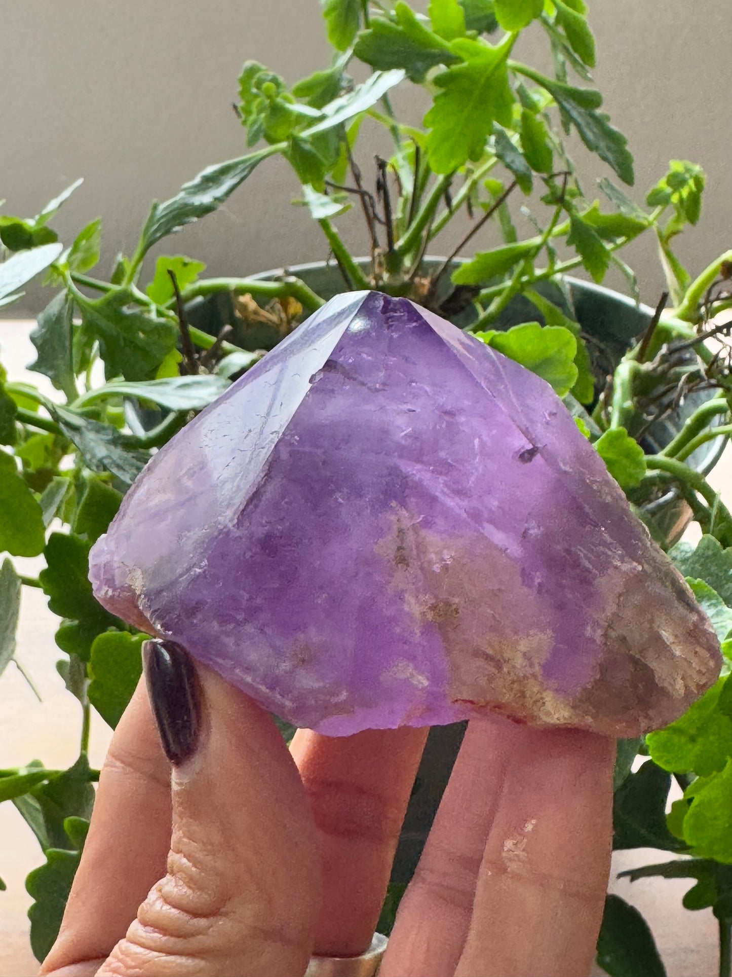 Amethyst Trapeze