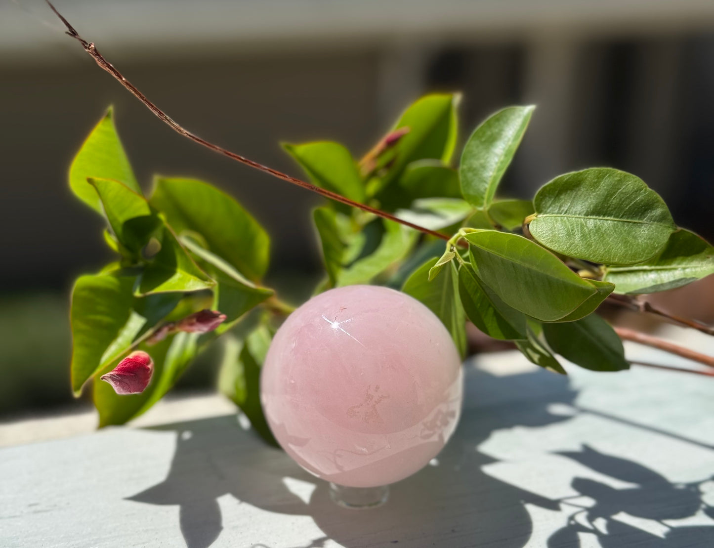 Rose Quartz Sphere medium size