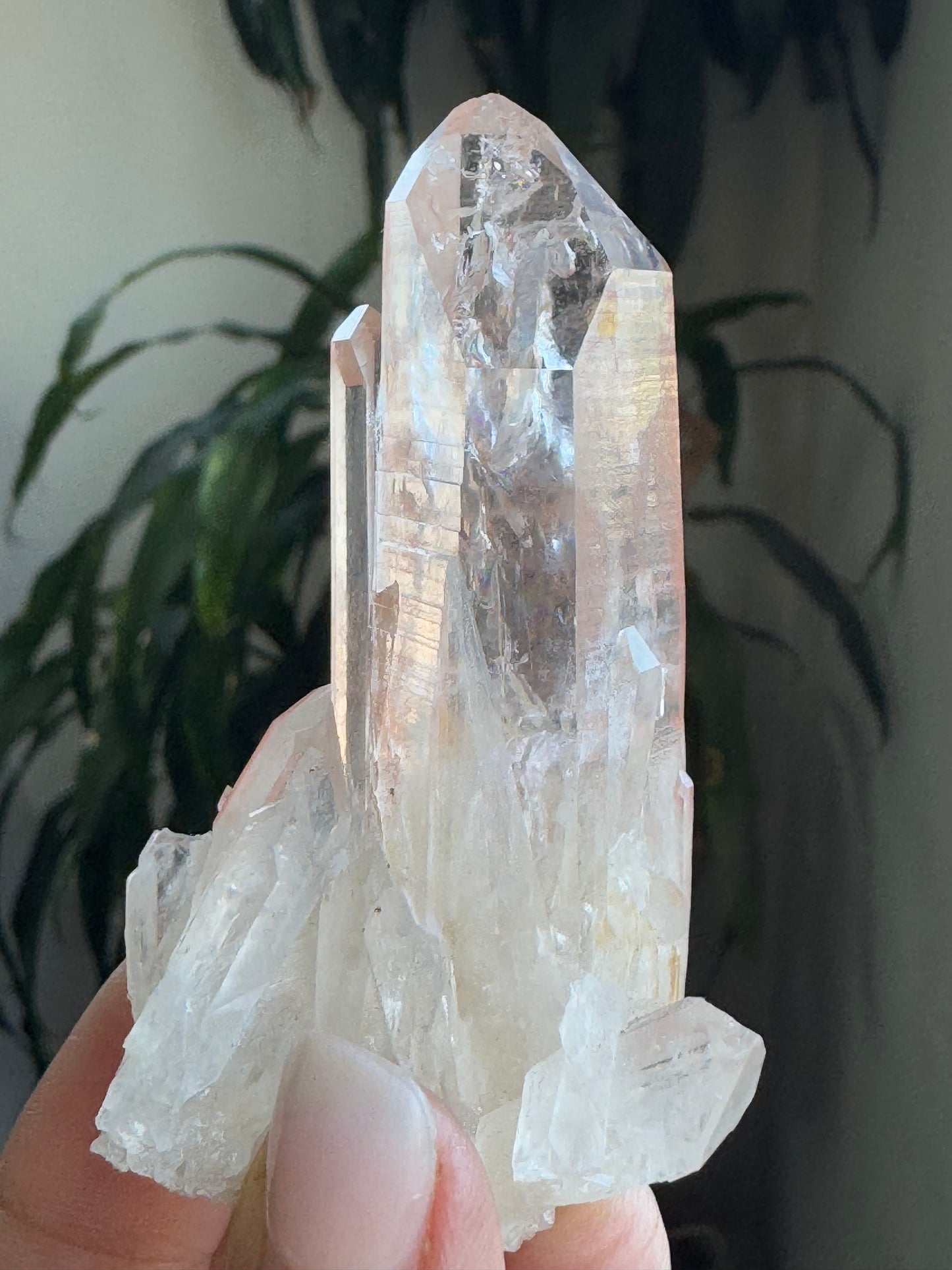 AAA Quality Pink Lamurian Cluster – Small
