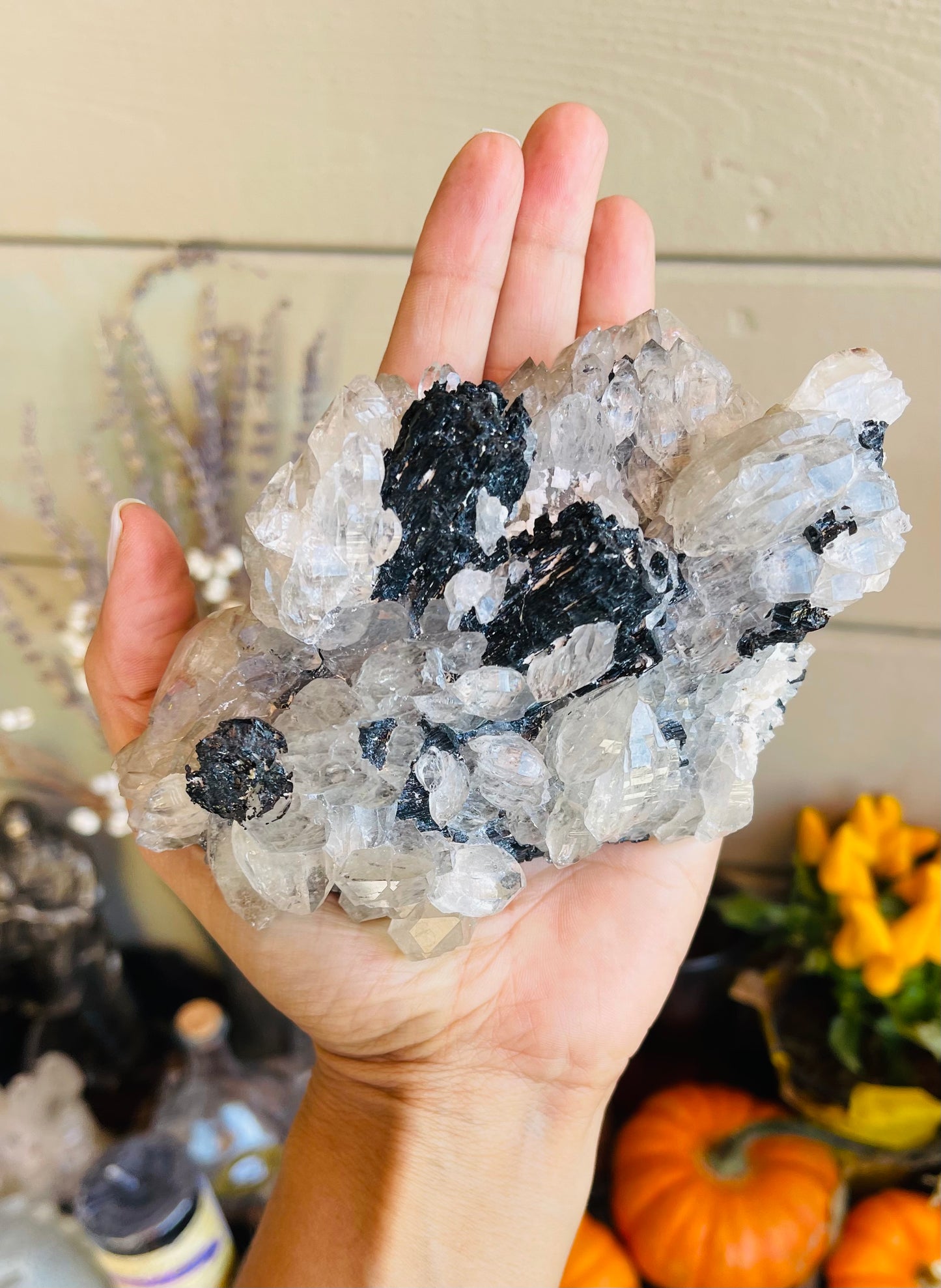 Unique And beautiful Quartz with Black Tourmaline Cluster