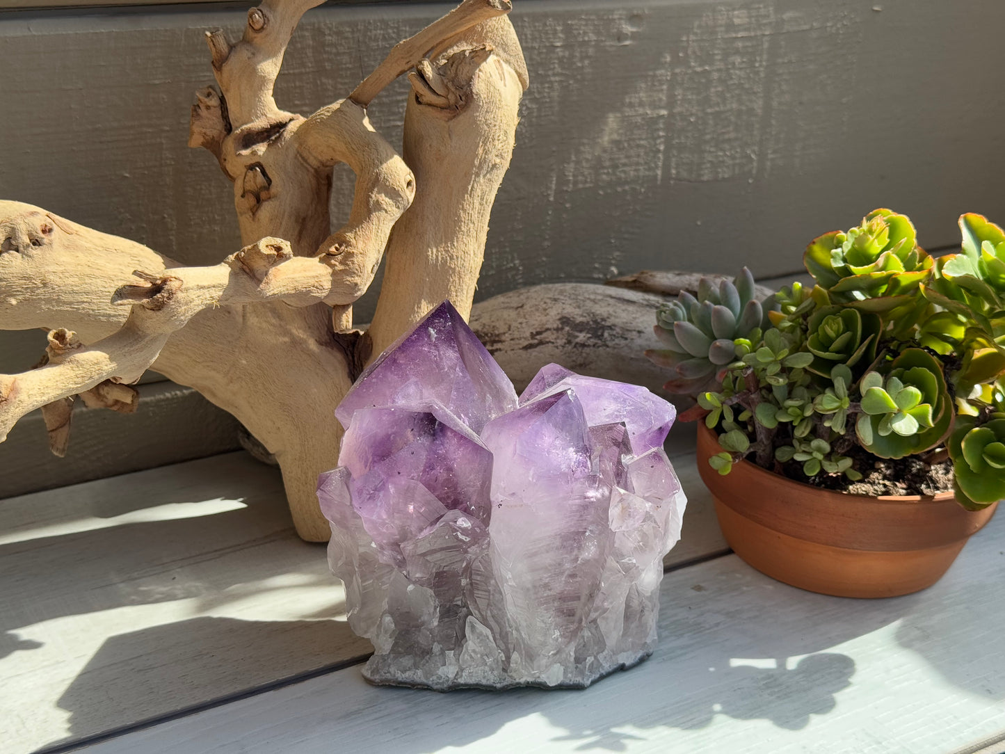 Amethyst Cluster