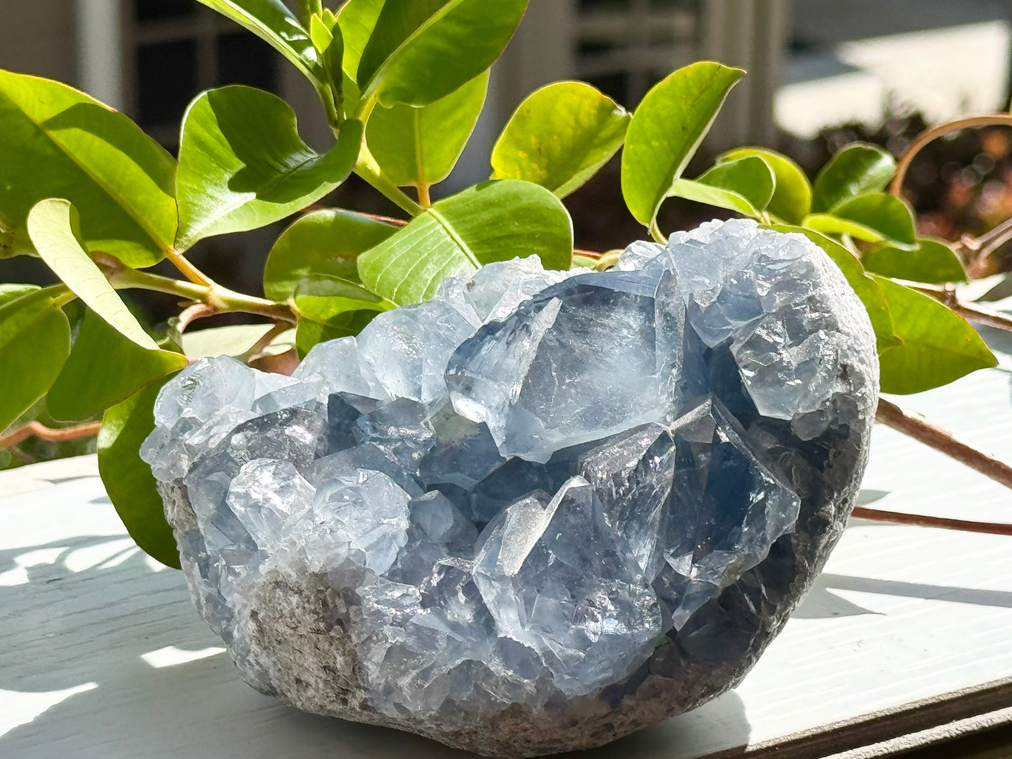 Celestite Cluster – Peace & Angelic Light
