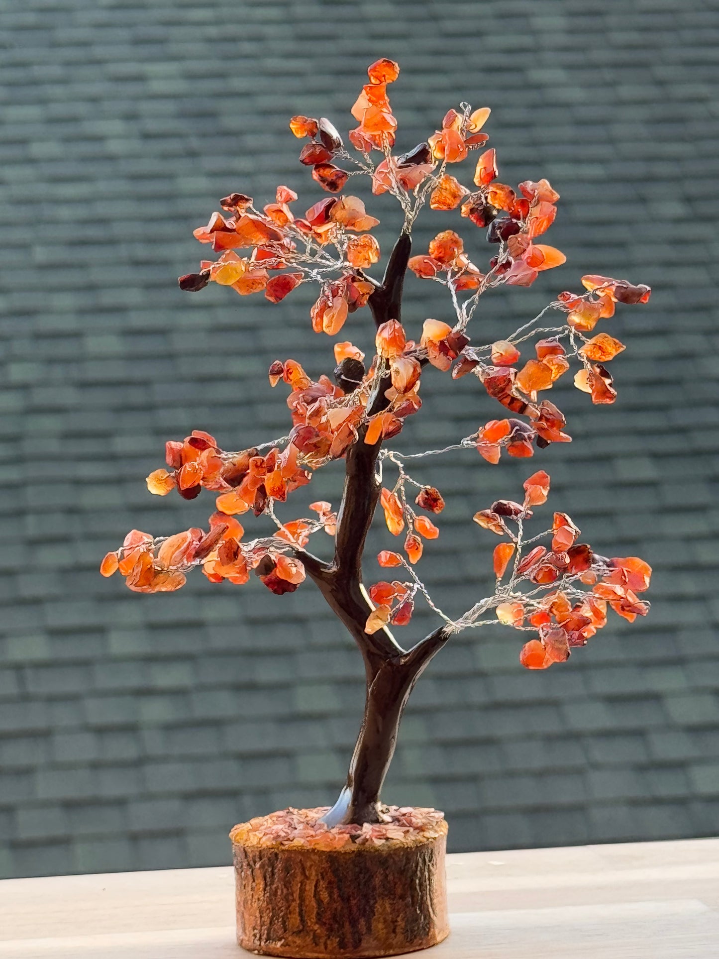 Crystal Tree of Life Collection