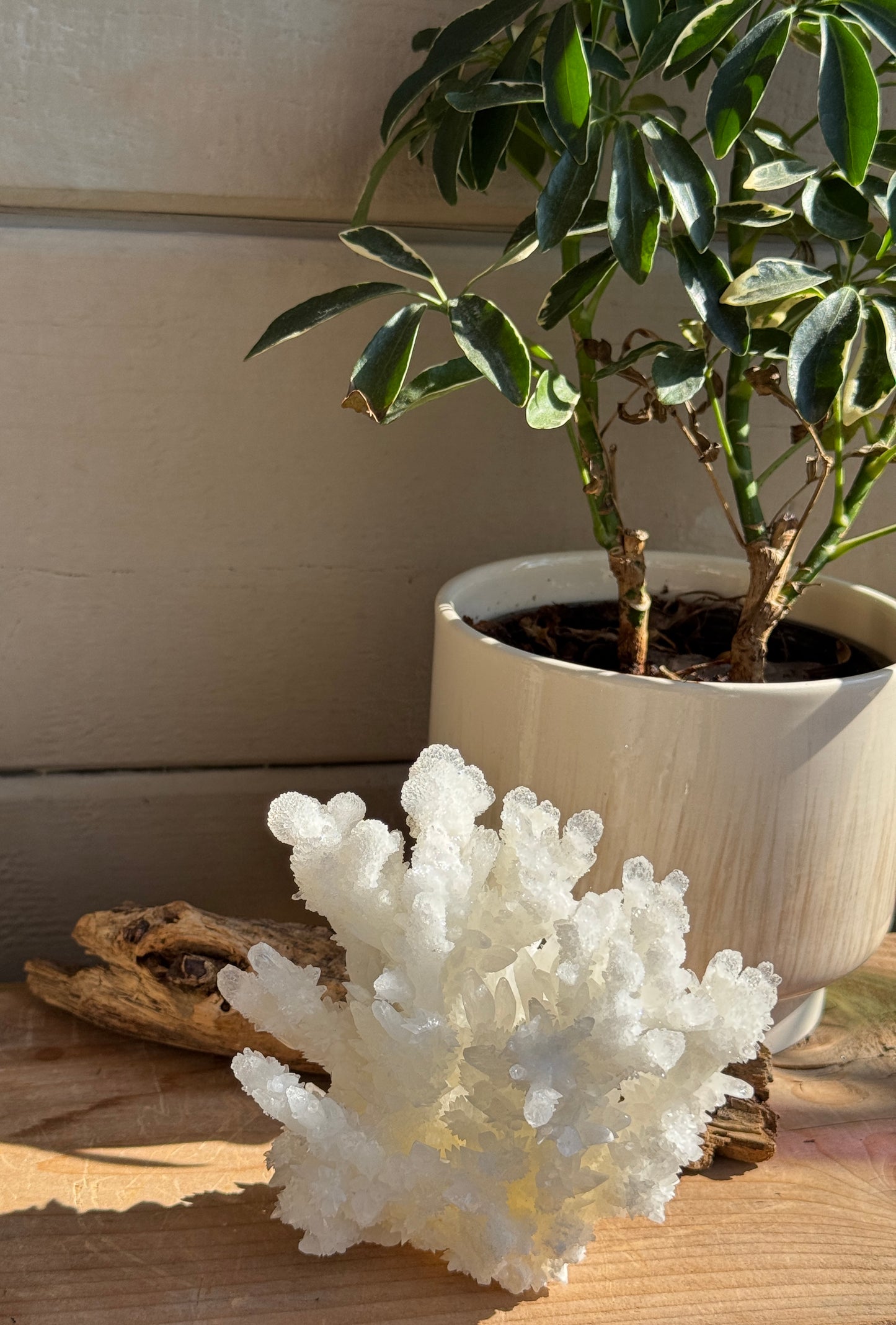 Natural Three-Layer Aragonite Cluster – Buena Tierra Mine