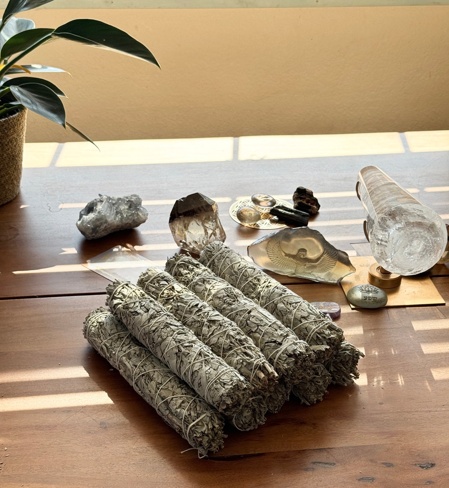 California White Sage Bundle — Premium Quality