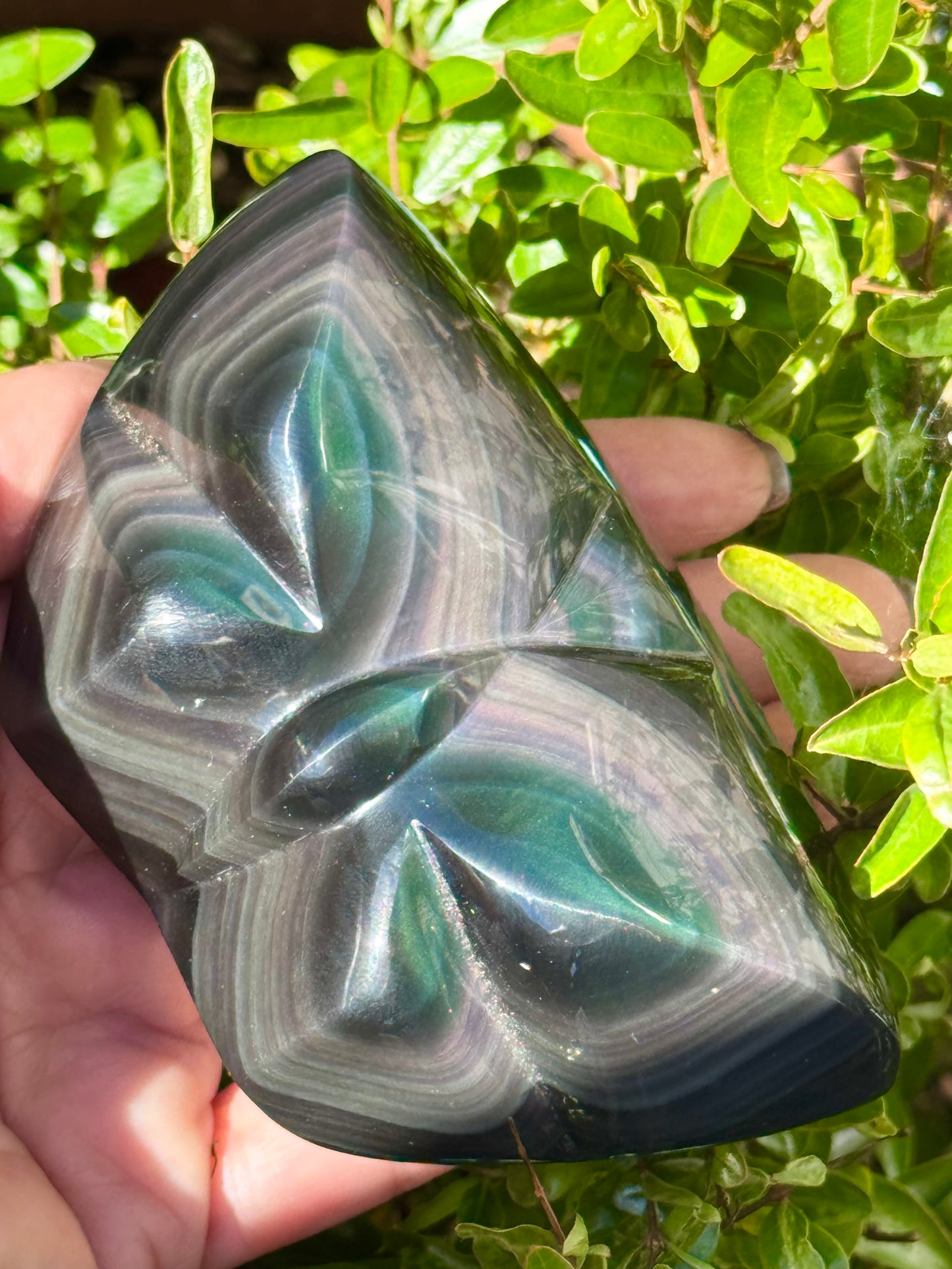 🦋 Rainbow Obsidian — Butterfly Carving (Large)