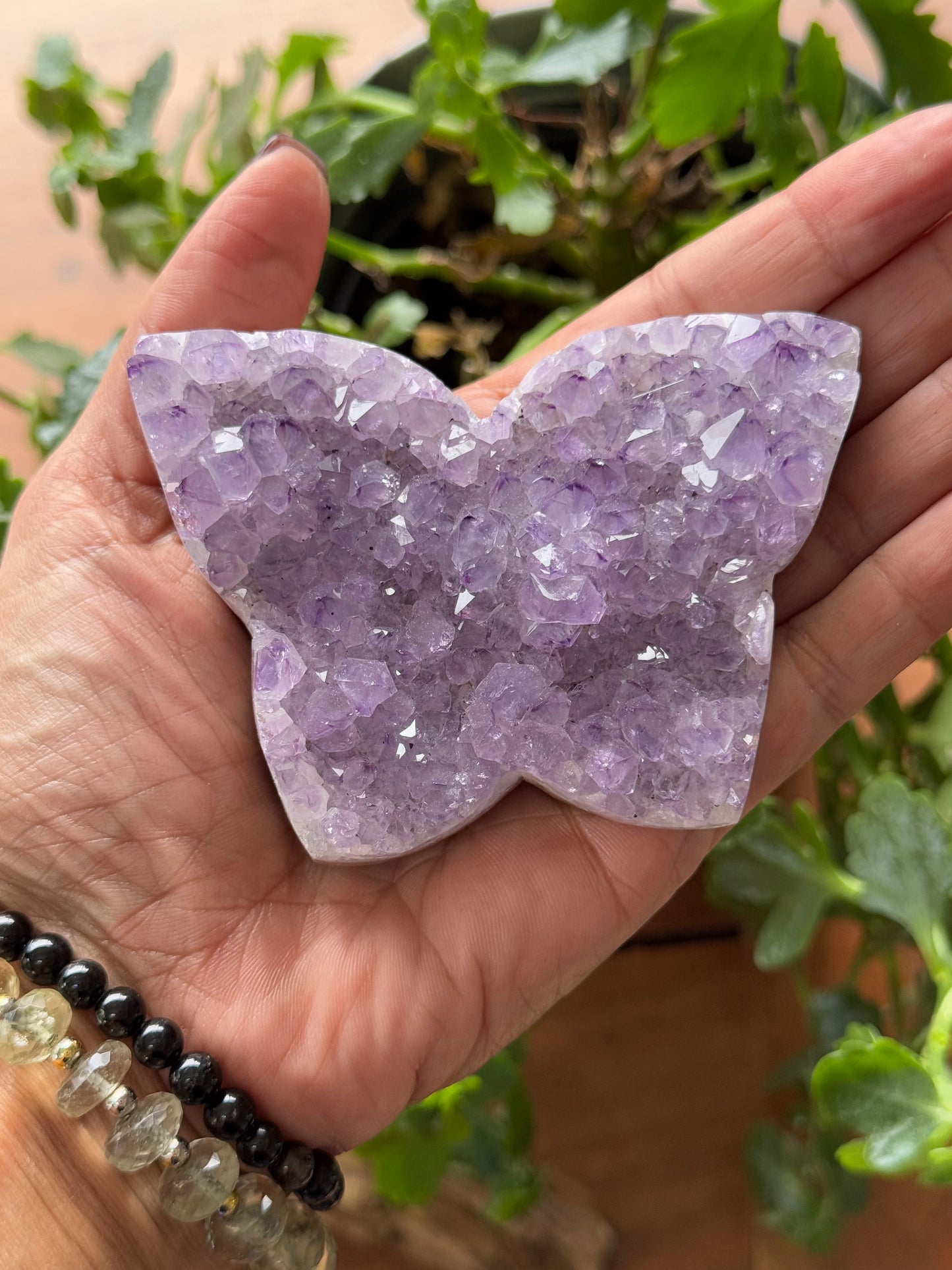 🦋 Amethyst Butterfly