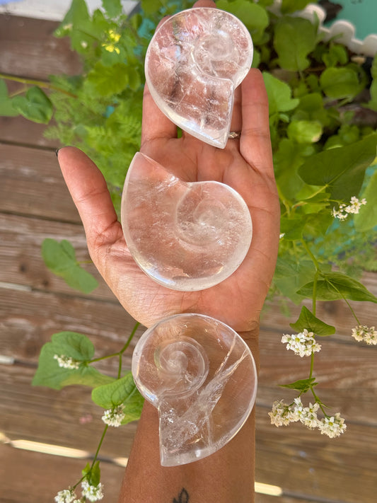 Clear Quartz & Smokey Quartz Shell