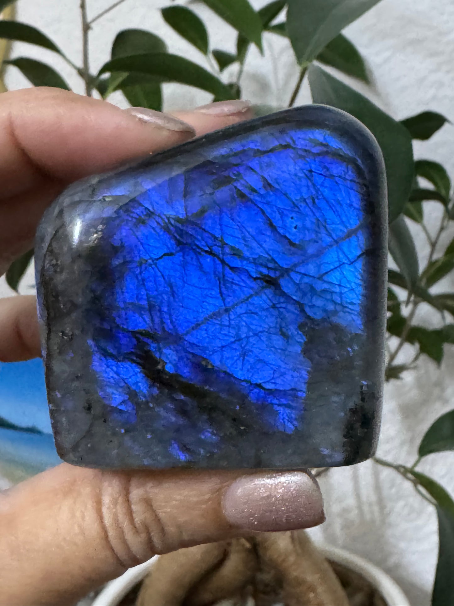 Free Form Labradorite