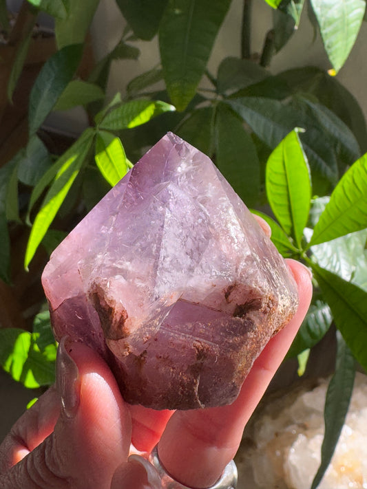 🔮 Amethyst Trapeze