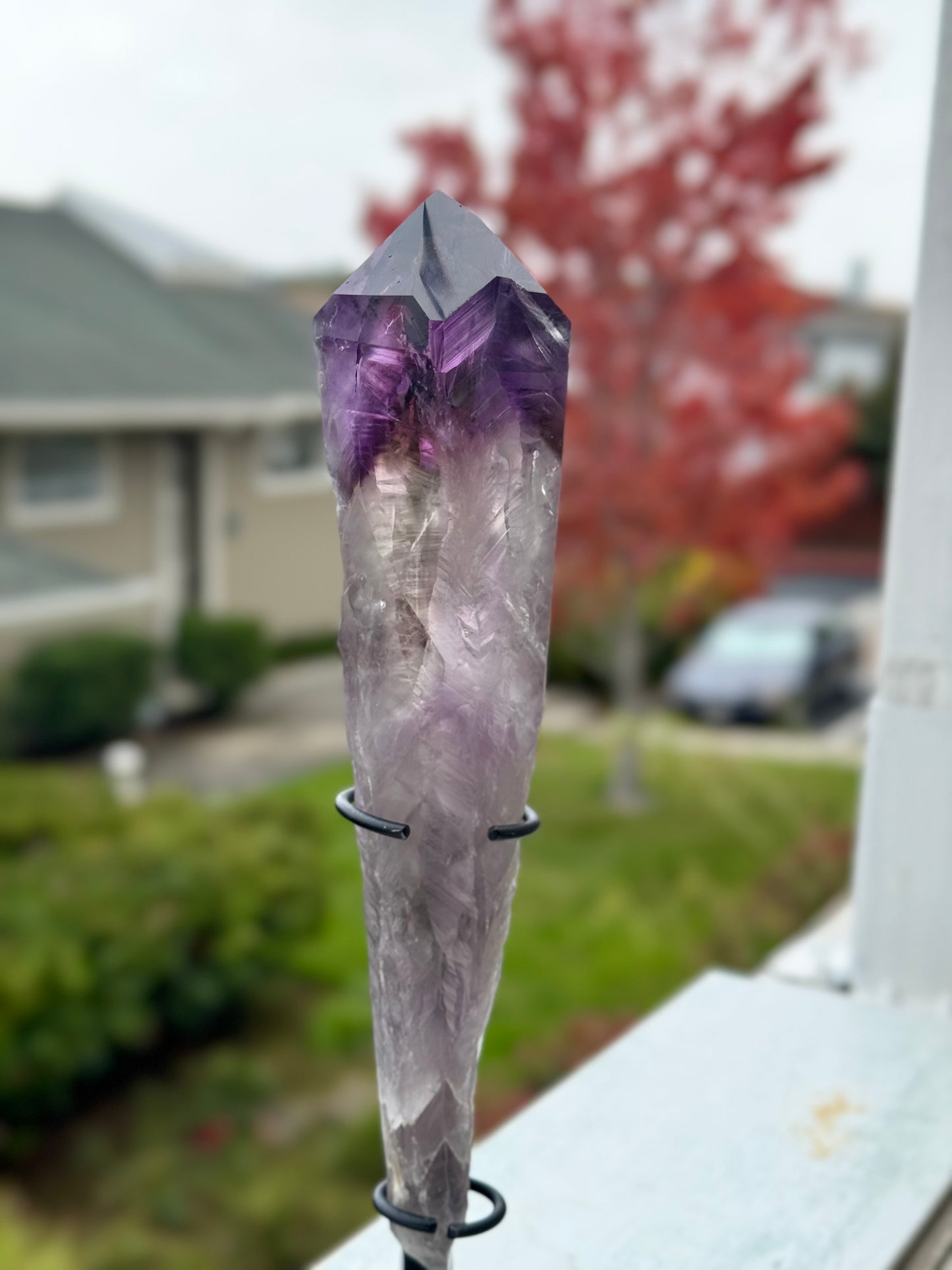 AAA Raw Natural Amethyst Root