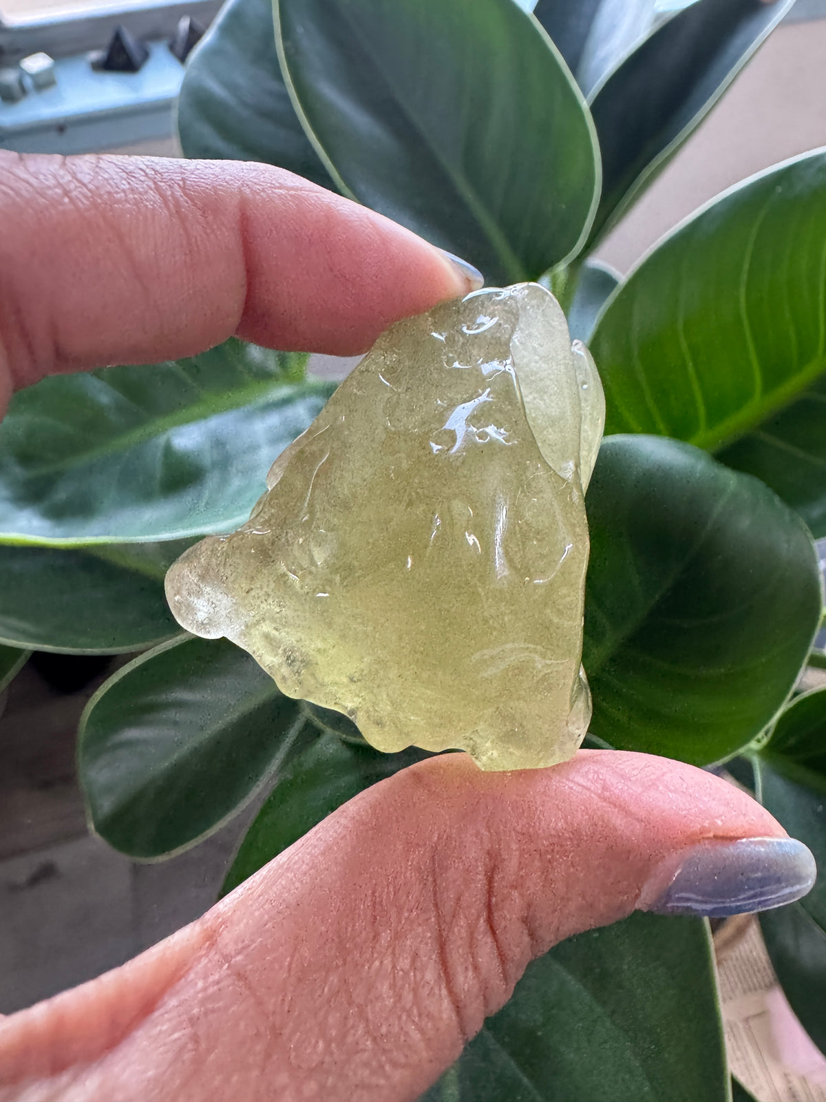 Natural Libyan Desert Glass Talisman 38g