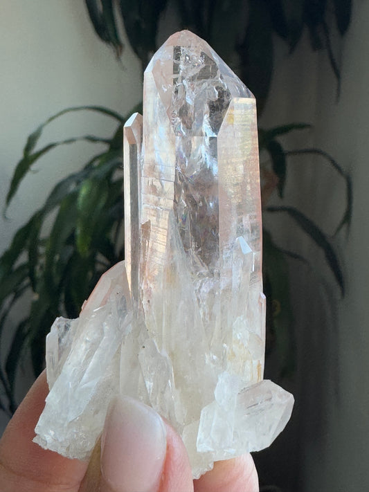 AAA Quality Pink Lamurian Cluster – Small
