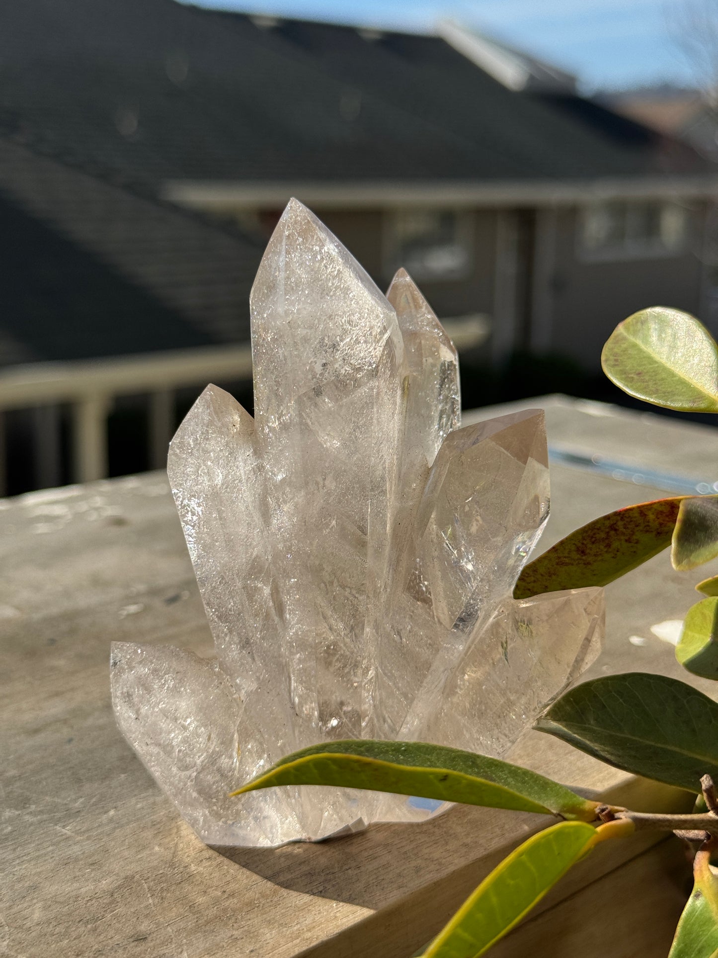 Smokey Quartz Flame Carving – Grounded Light 

Rooted. Protective. Stabilizing.