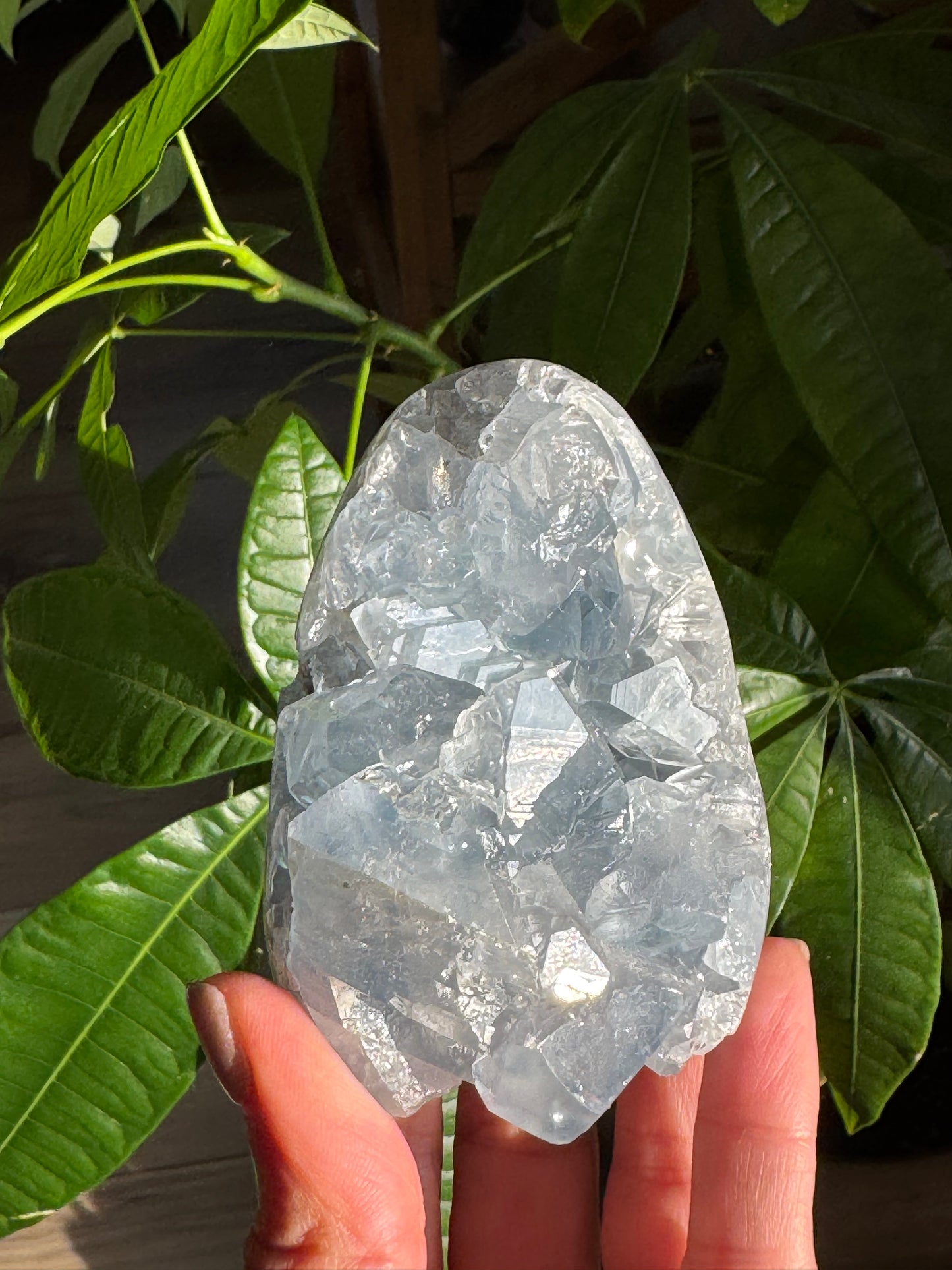 Celestite