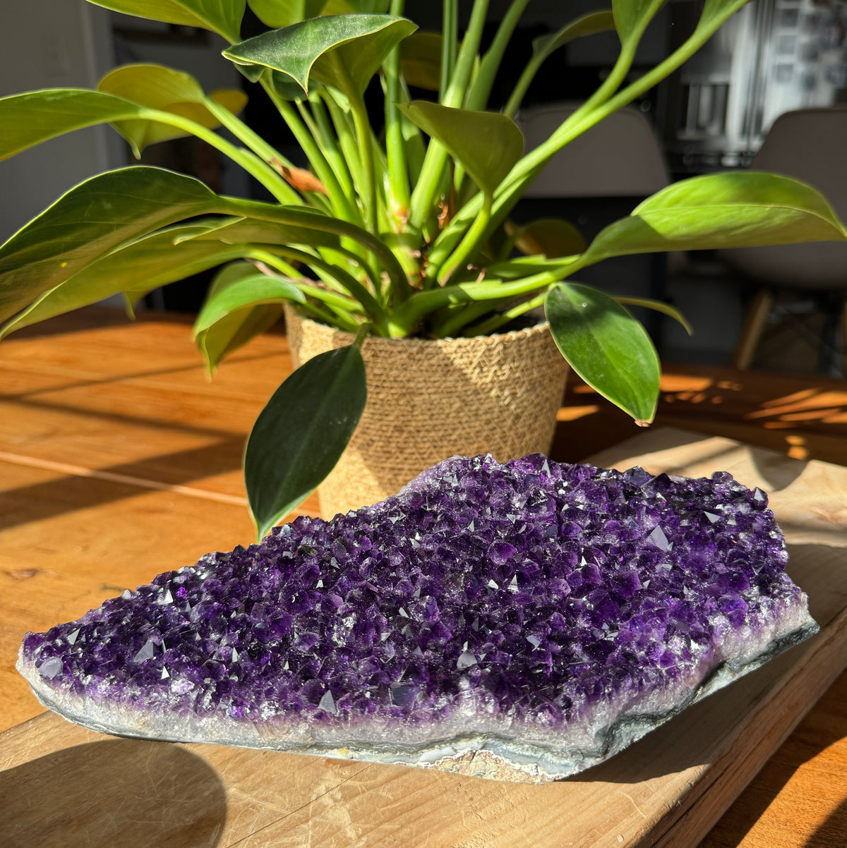 AAA Madagascar Amethyst Druze