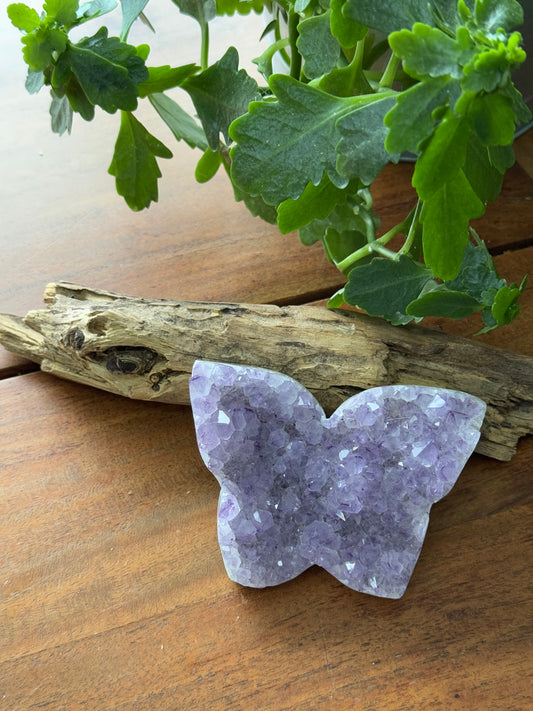 🦋 Amethyst Butterfly