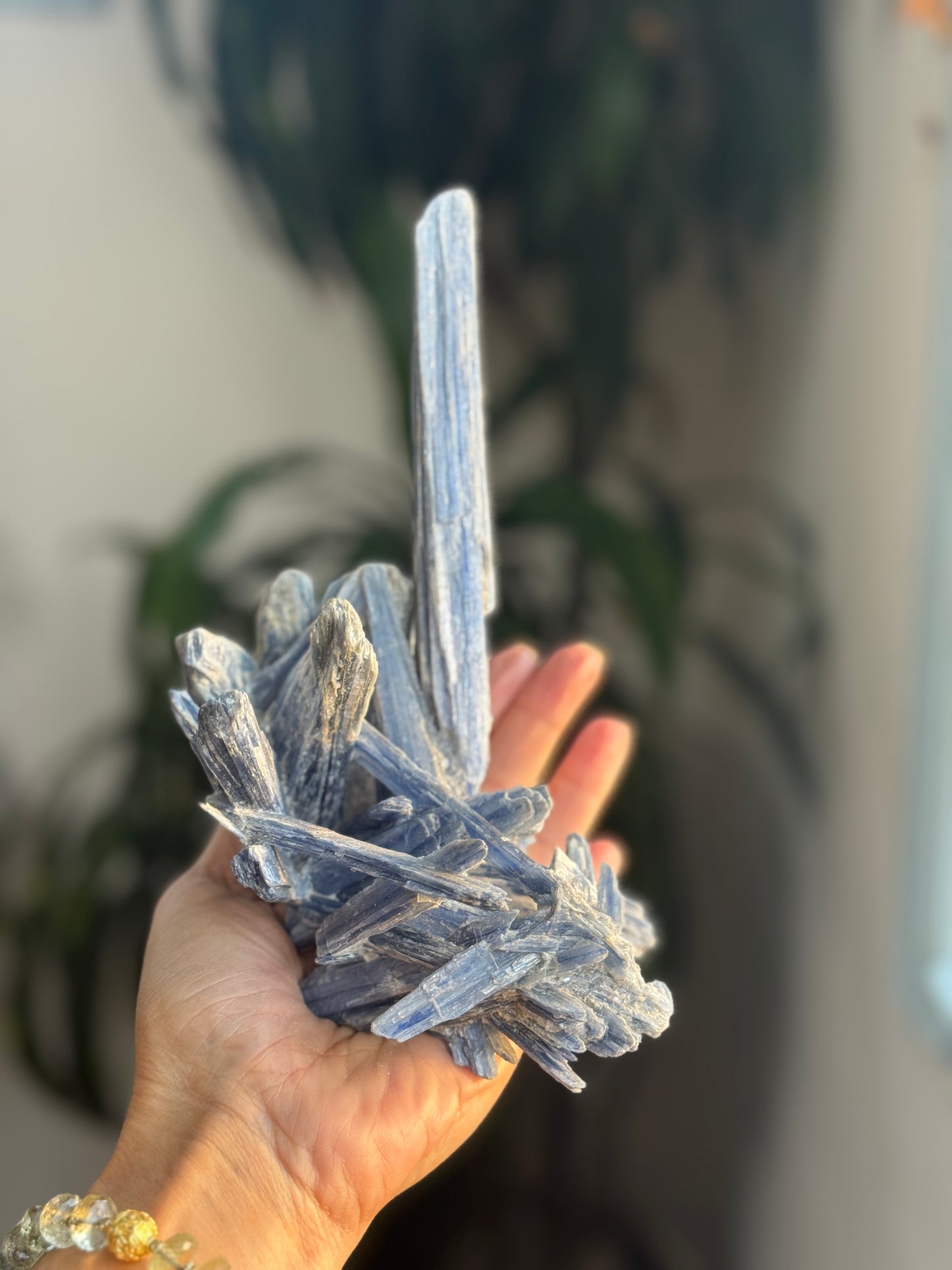Kyanite cluster