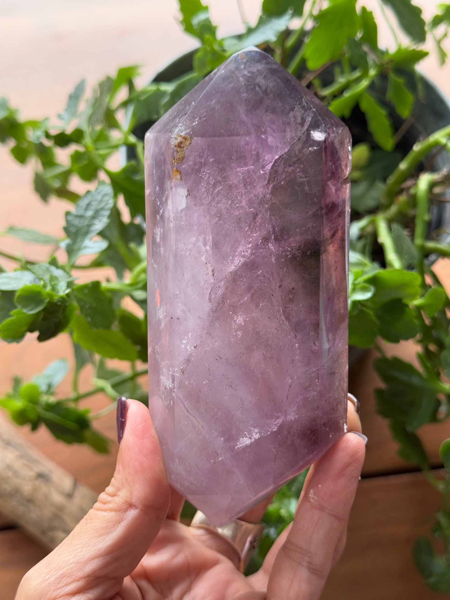 Double Terminated Amethyst