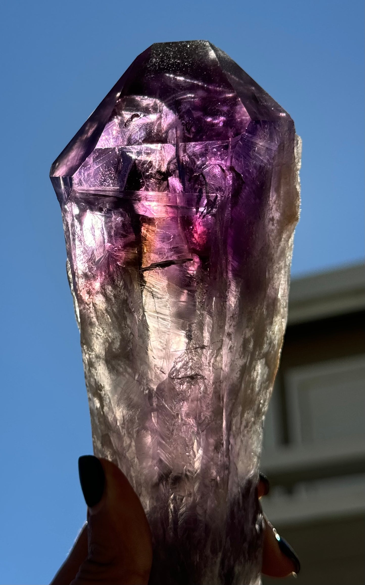 Large Raw Natural Amethyst Root