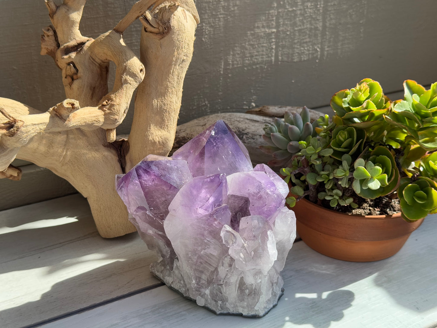 Amethyst Cluster