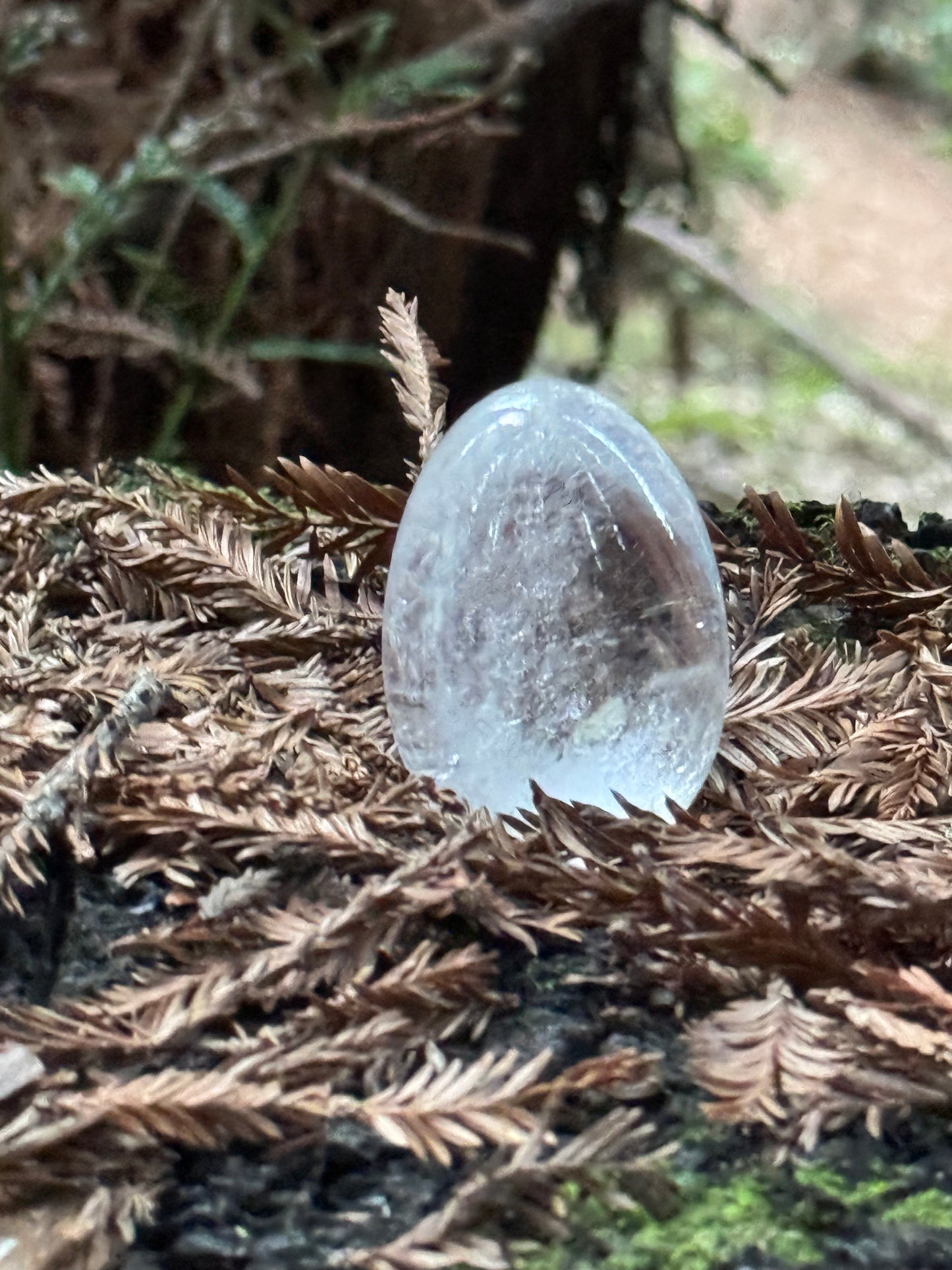 Clear Quartz Egg