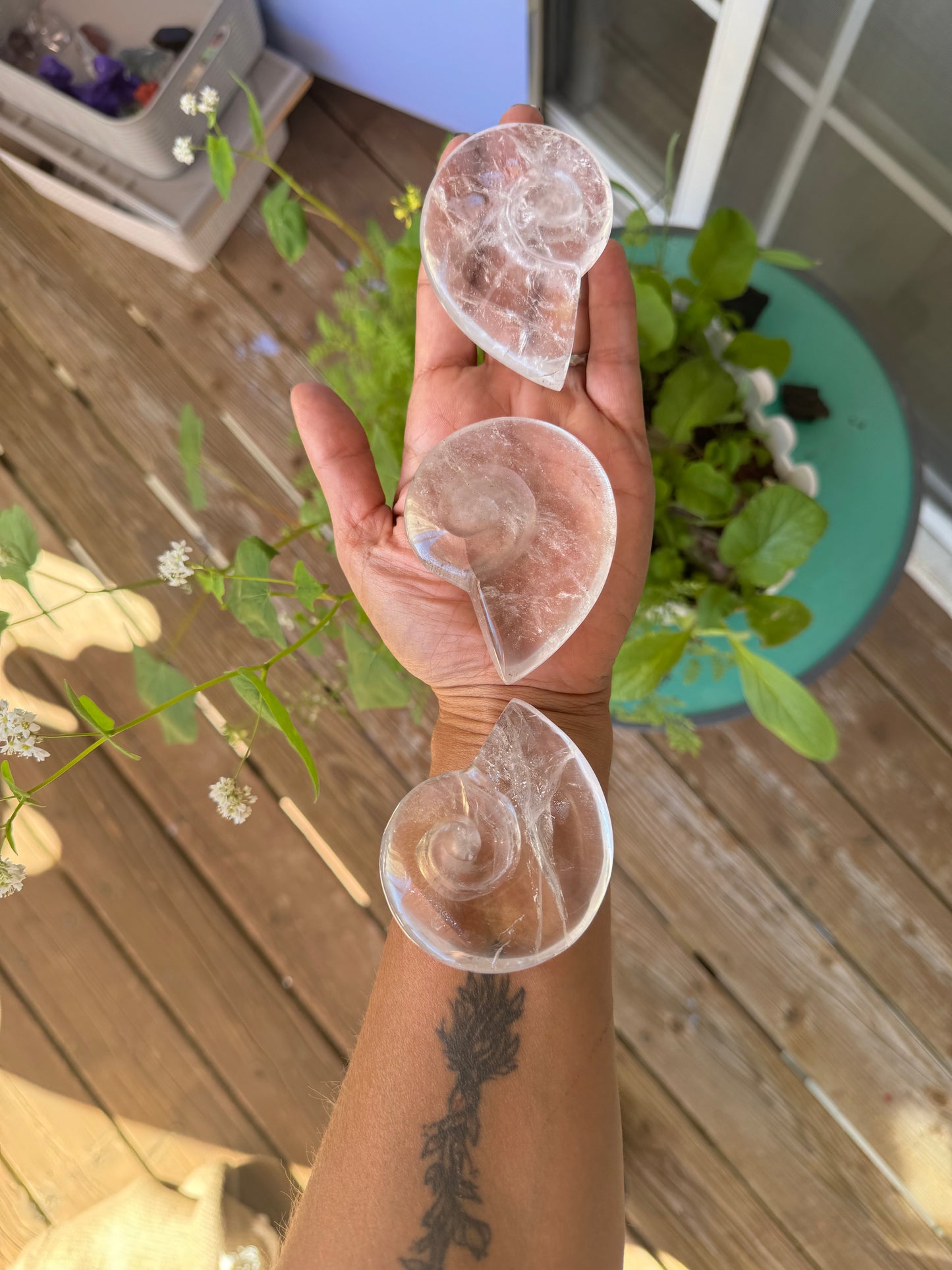 Clear Quartz & Smokey Quartz Shell