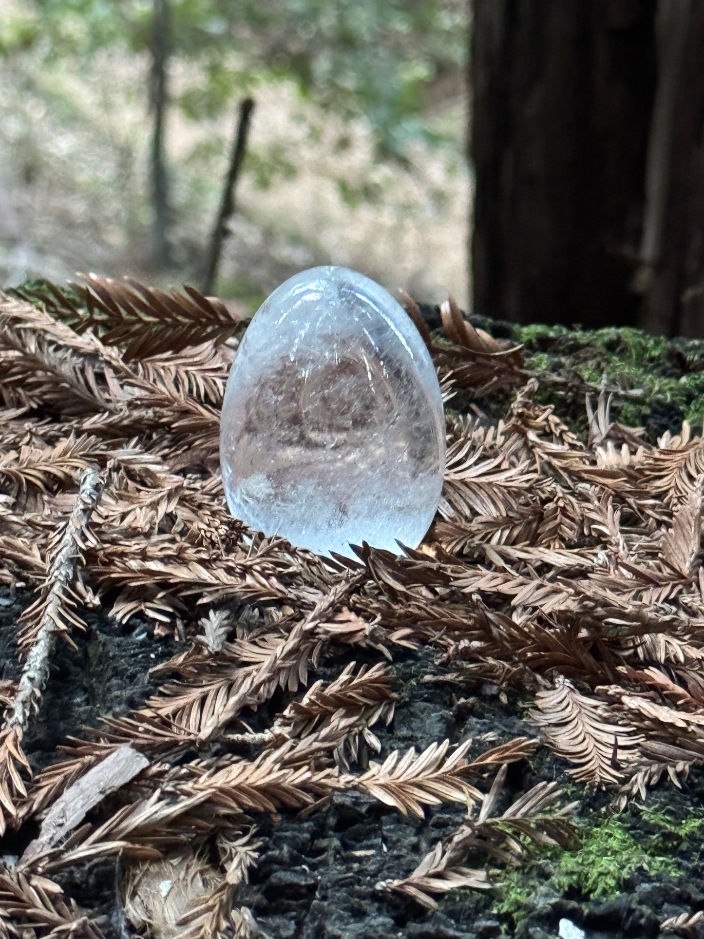 Clear Quartz Egg