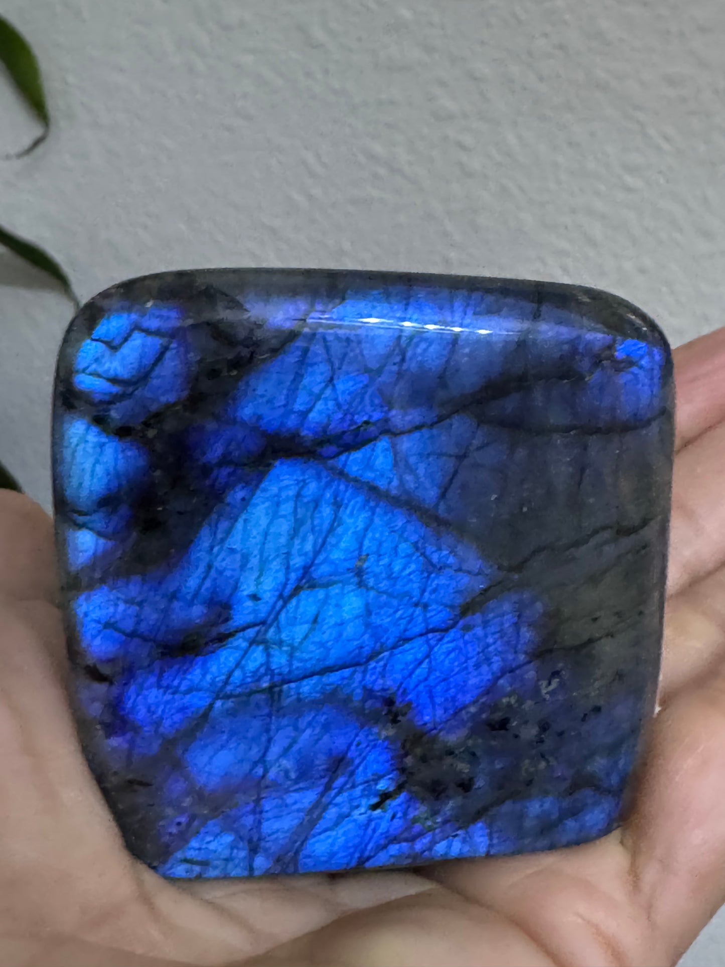 Free Form Labradorite