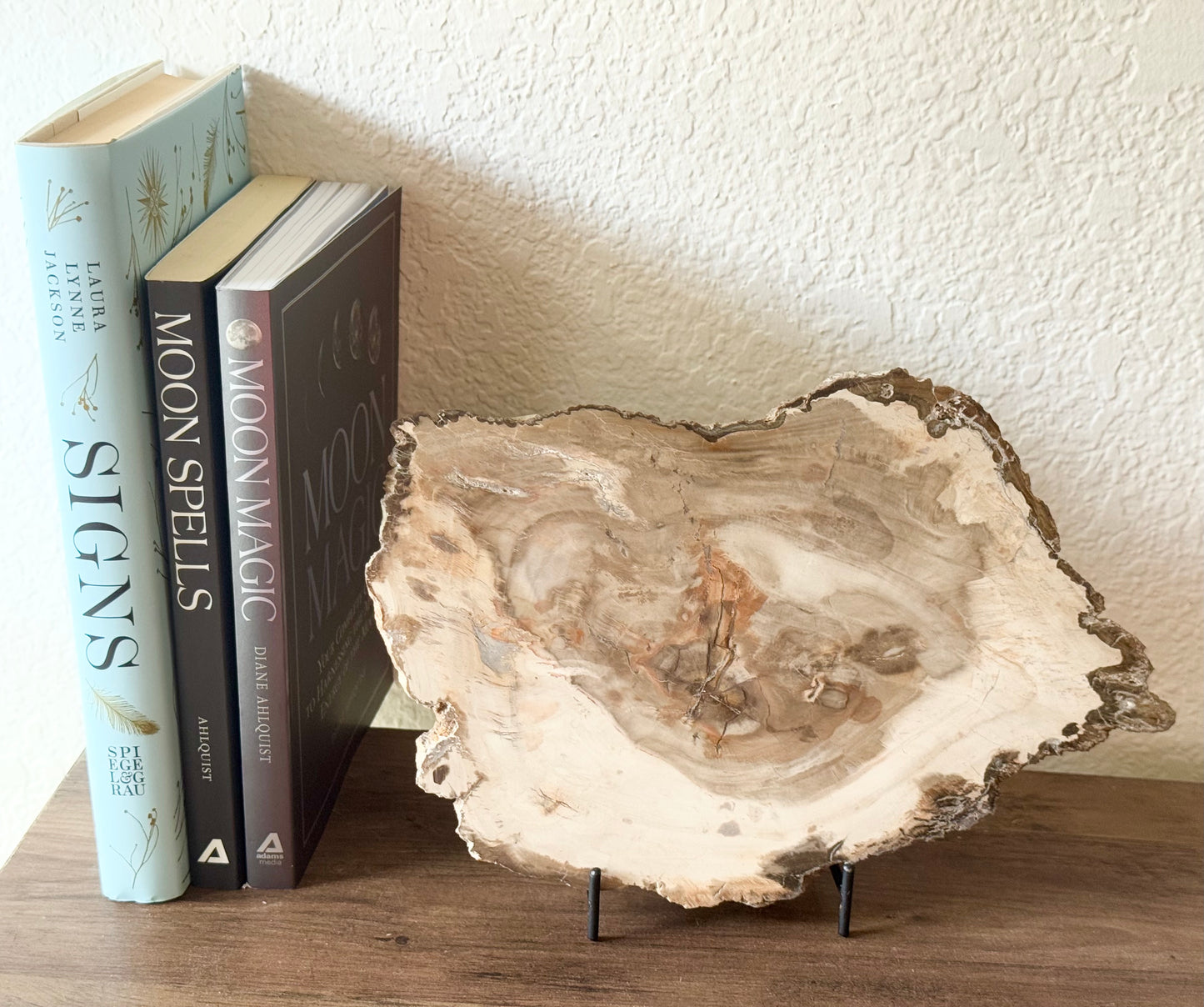 Petrified Wood Slice – Ancient Earth Wisdom